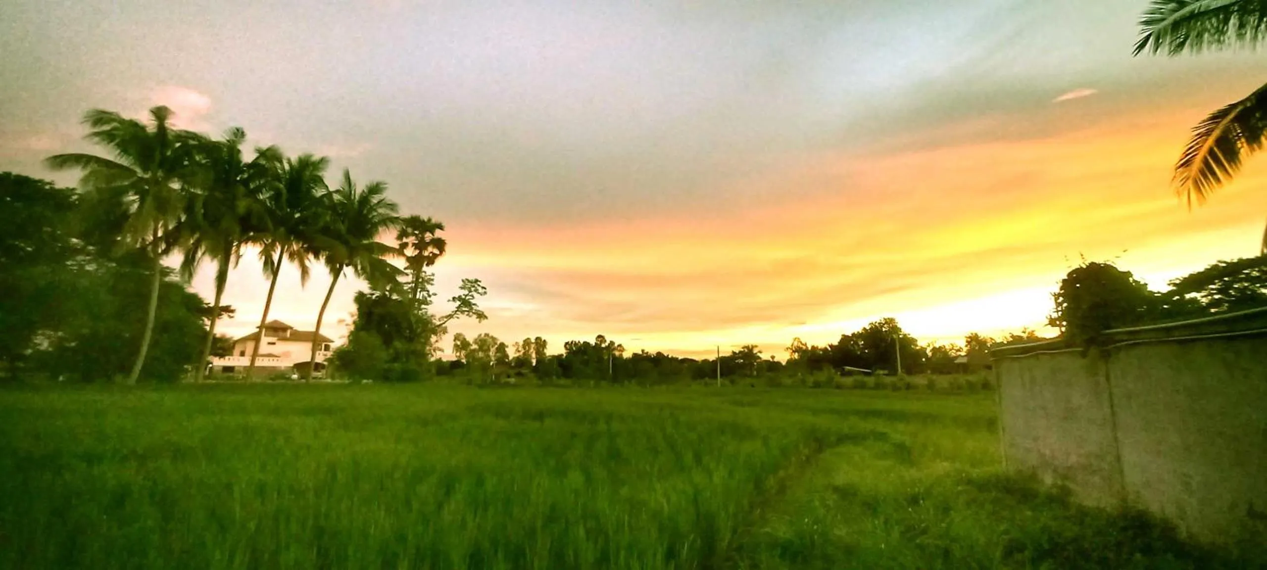 Property building in Bua Daeng Homestay Resort