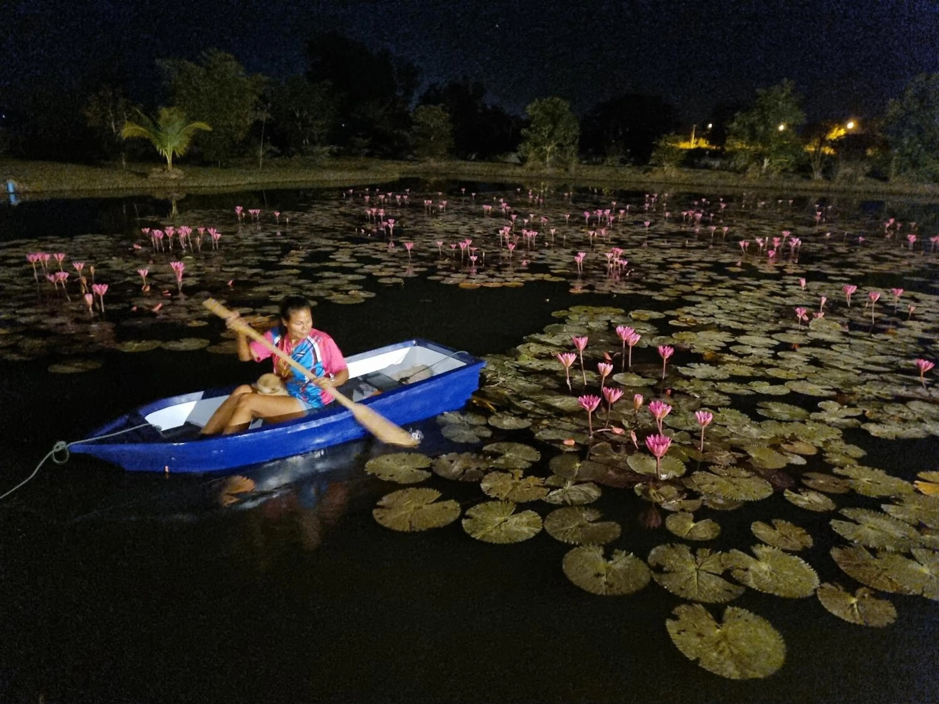 Property building in Bua Daeng Homestay Resort