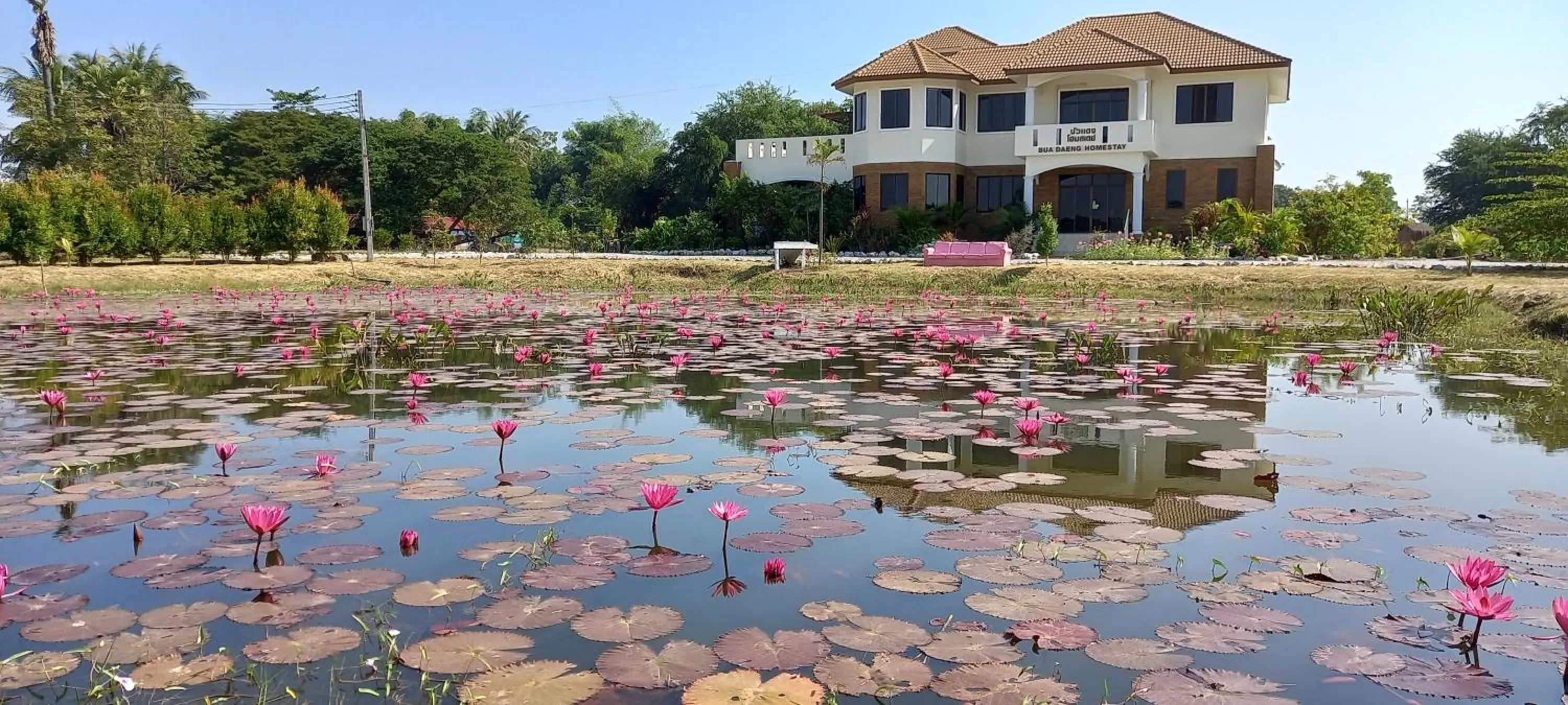 Property building in Bua Daeng Homestay Resort