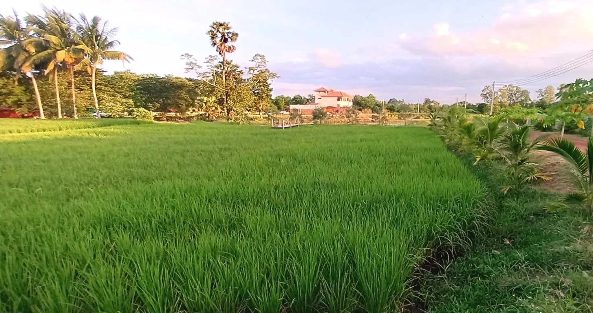 Property building in Bua Daeng Homestay Resort