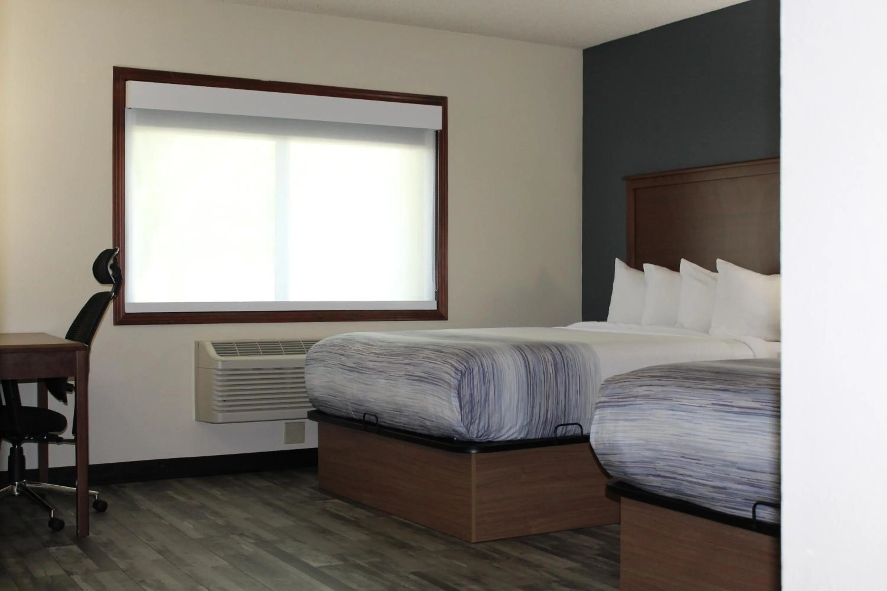 Pets, Bed in AmericInn by Wyndham Windsor Ft. Collins