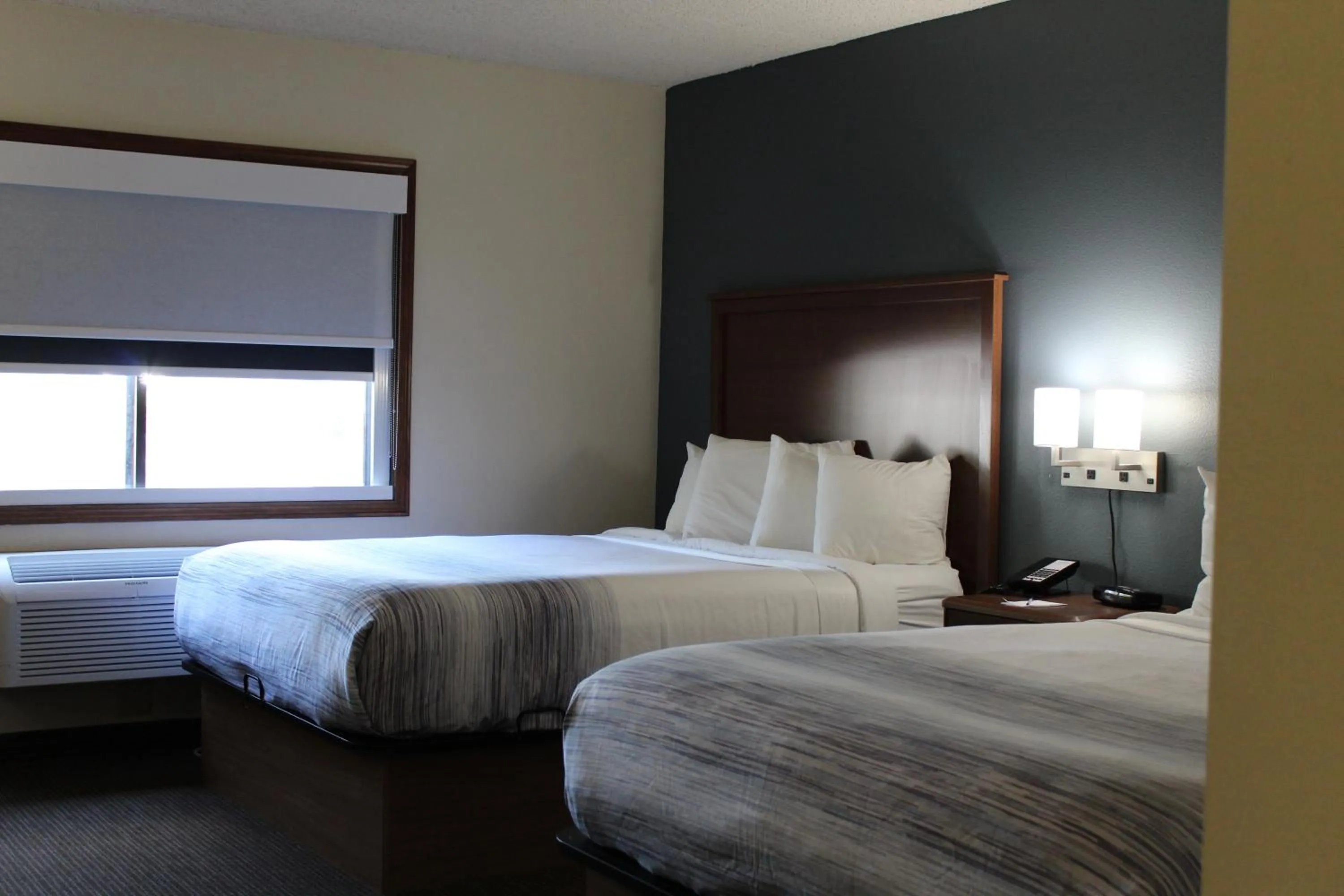 Bed in AmericInn by Wyndham Windsor Ft. Collins