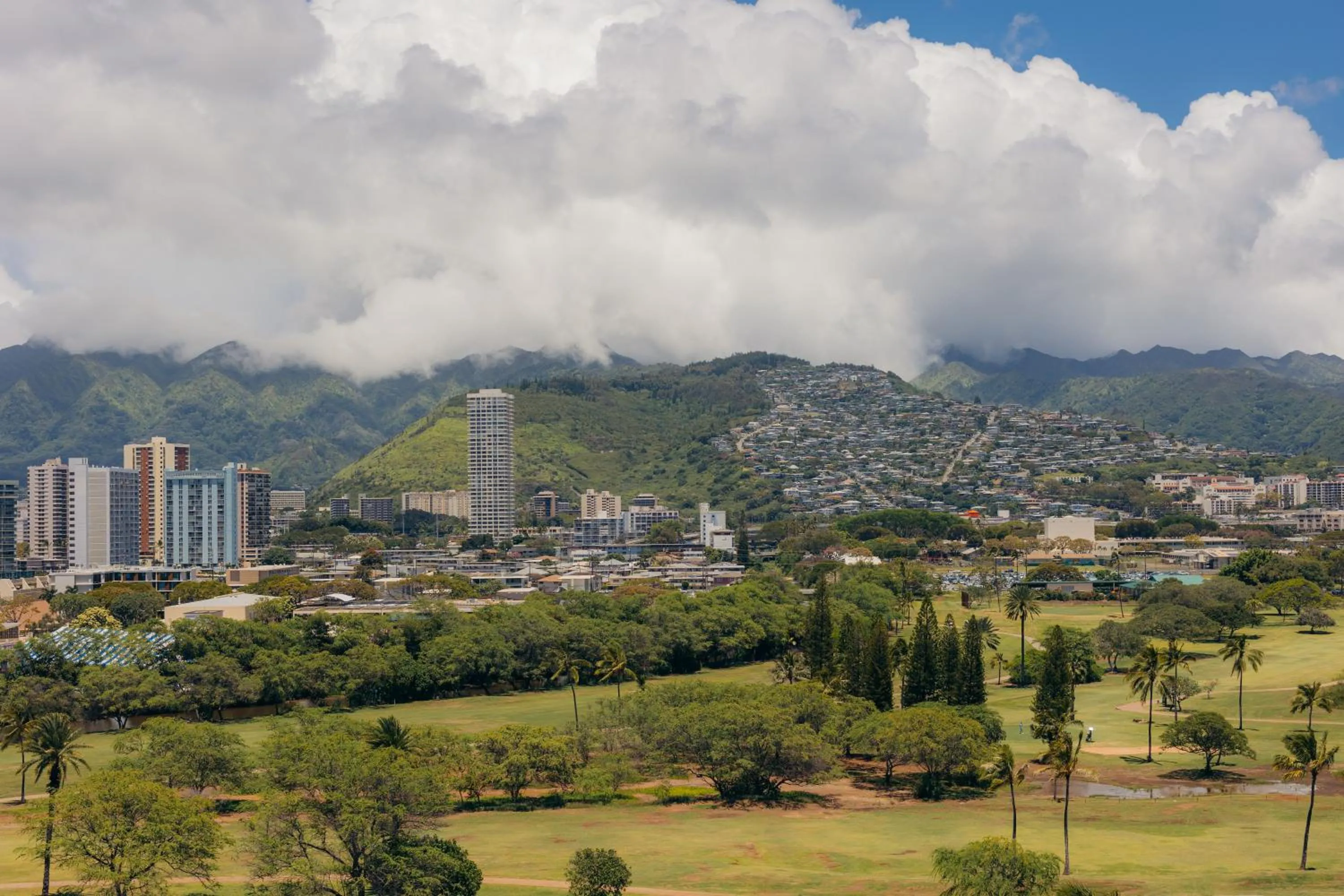 View (from property/room) in Ilima Hotel
