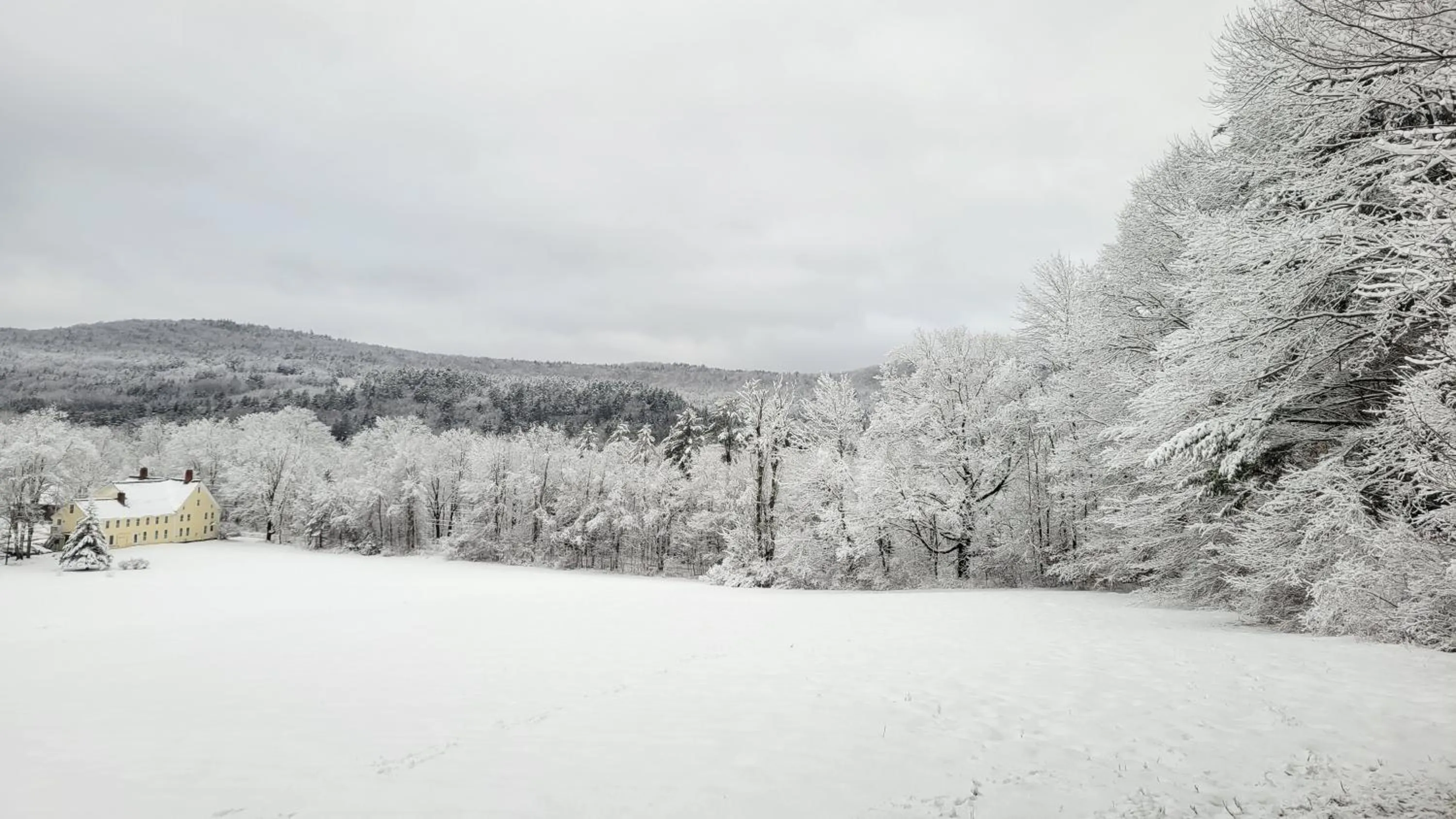 Winter in Franklyn Farm Inn
