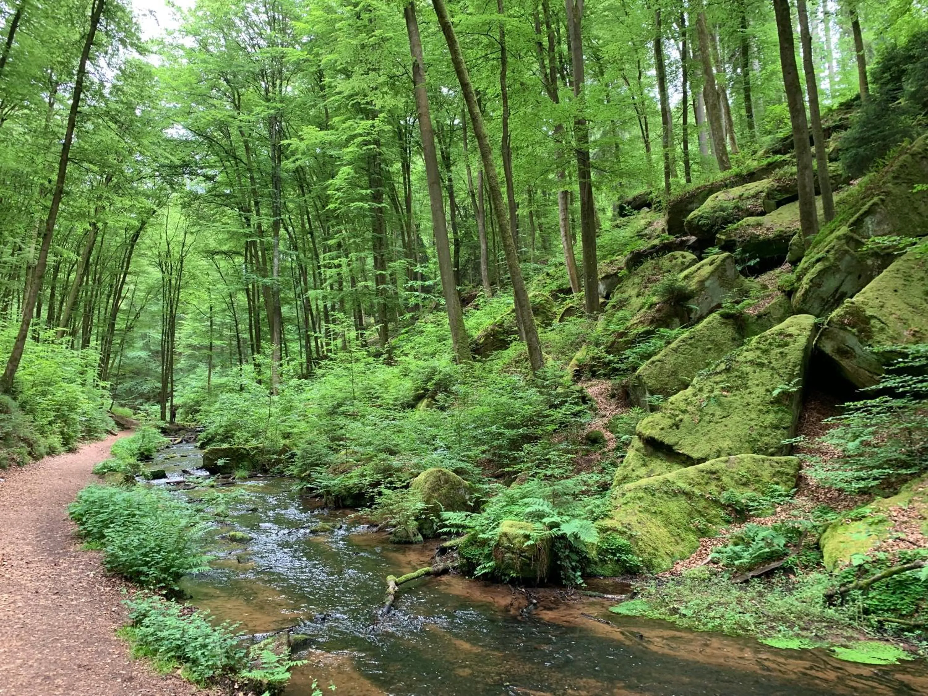 Hiking in Hotel & Restaurant Burgschänke