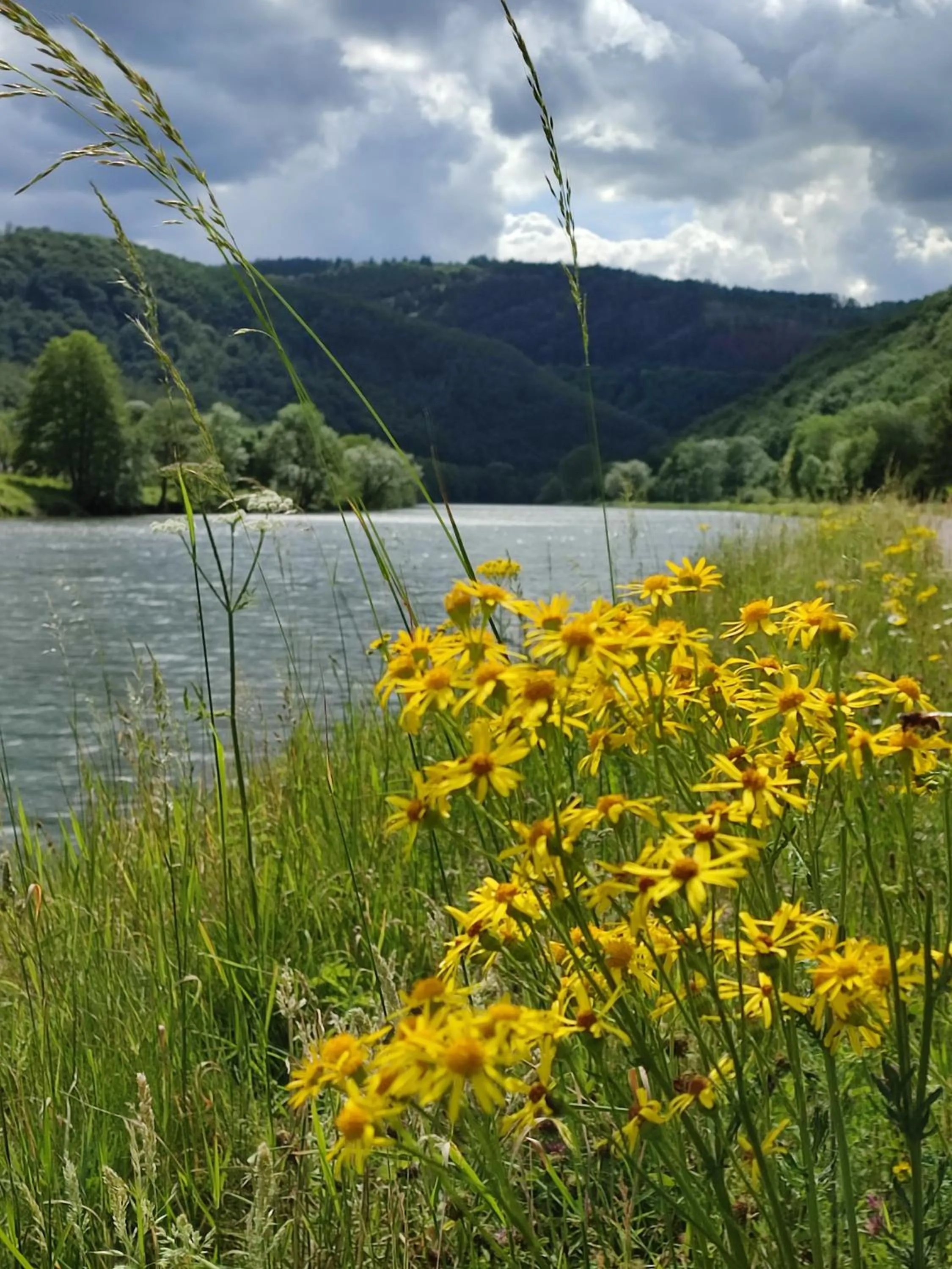 Spring in Entre Meuse et forêt