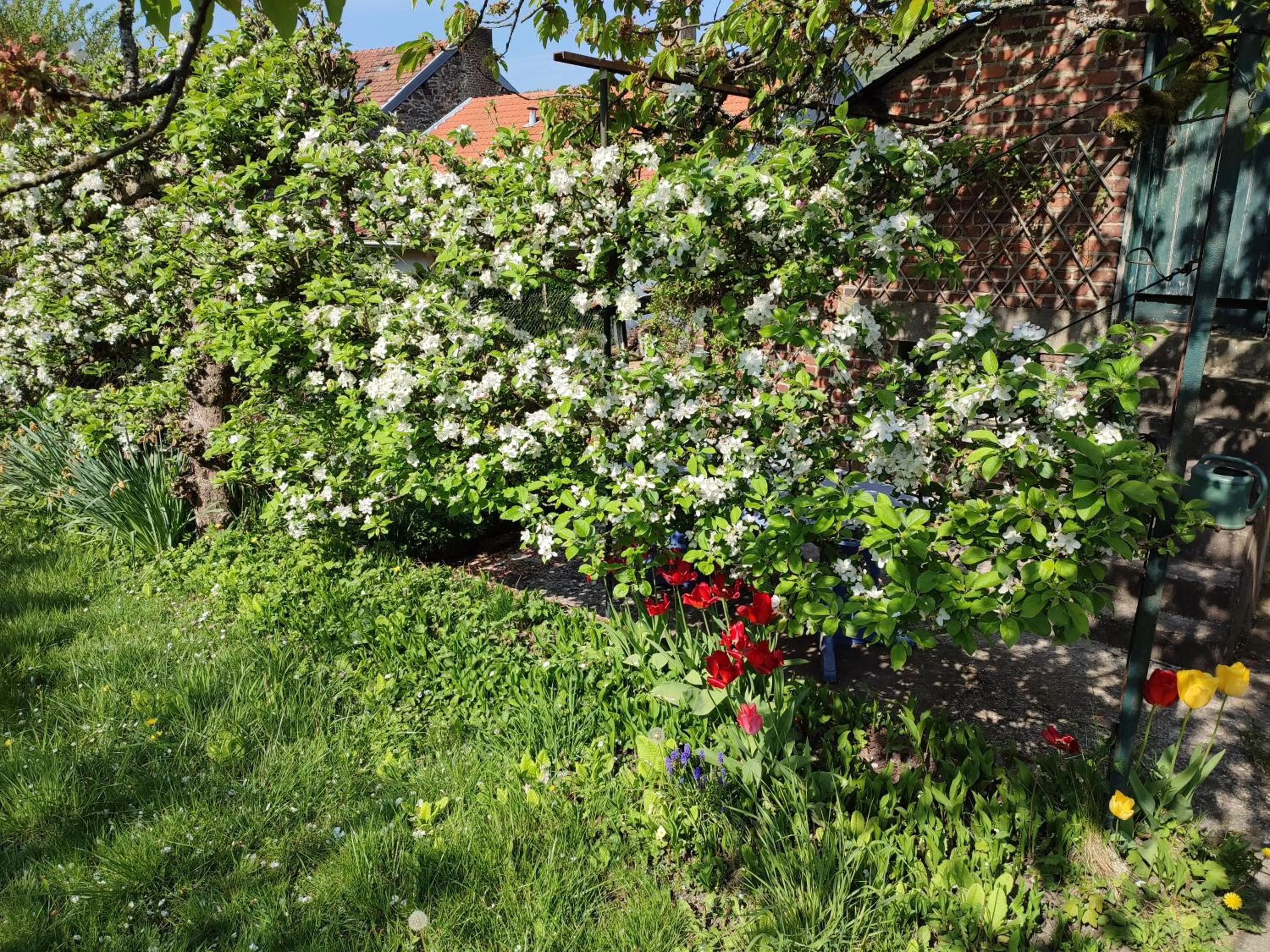 Spring in Entre Meuse et forêt