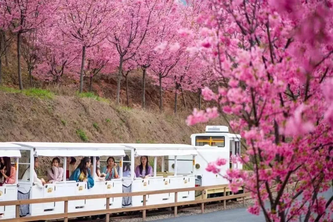 Natural landscape in Holiday Inn One Thousand Island Lake by IHG
