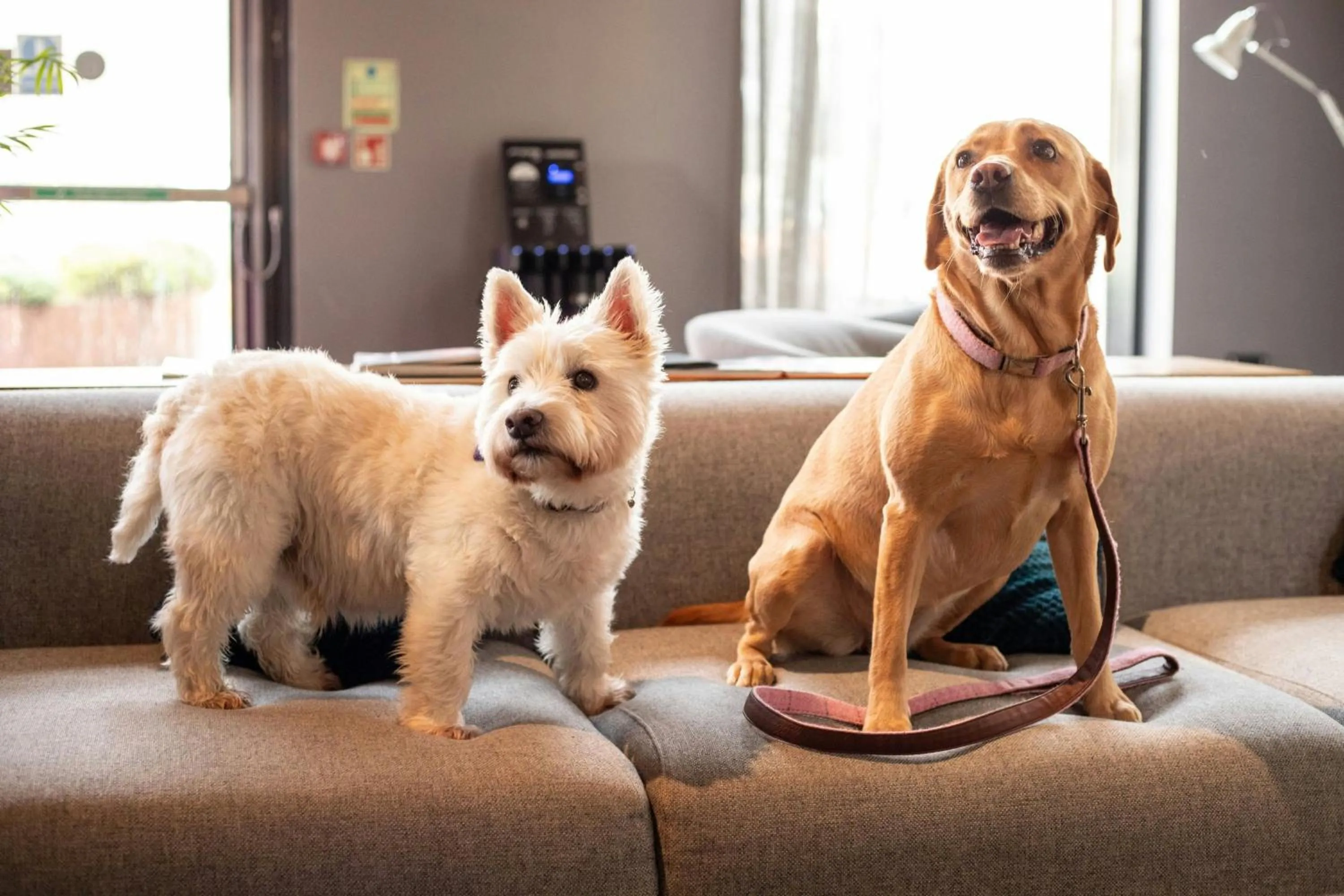 Other in Moxy Glasgow SEC