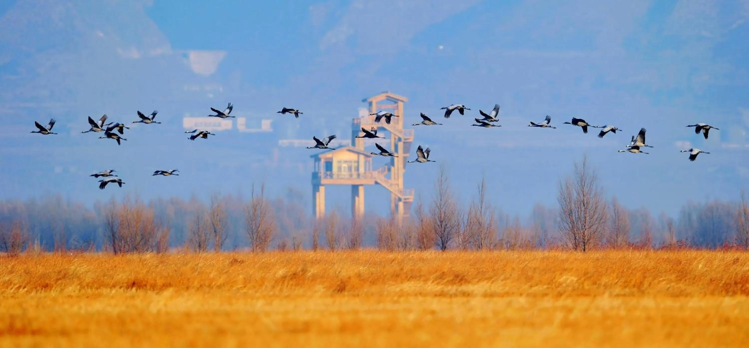 Natural landscape in Element Beijing Yanqing