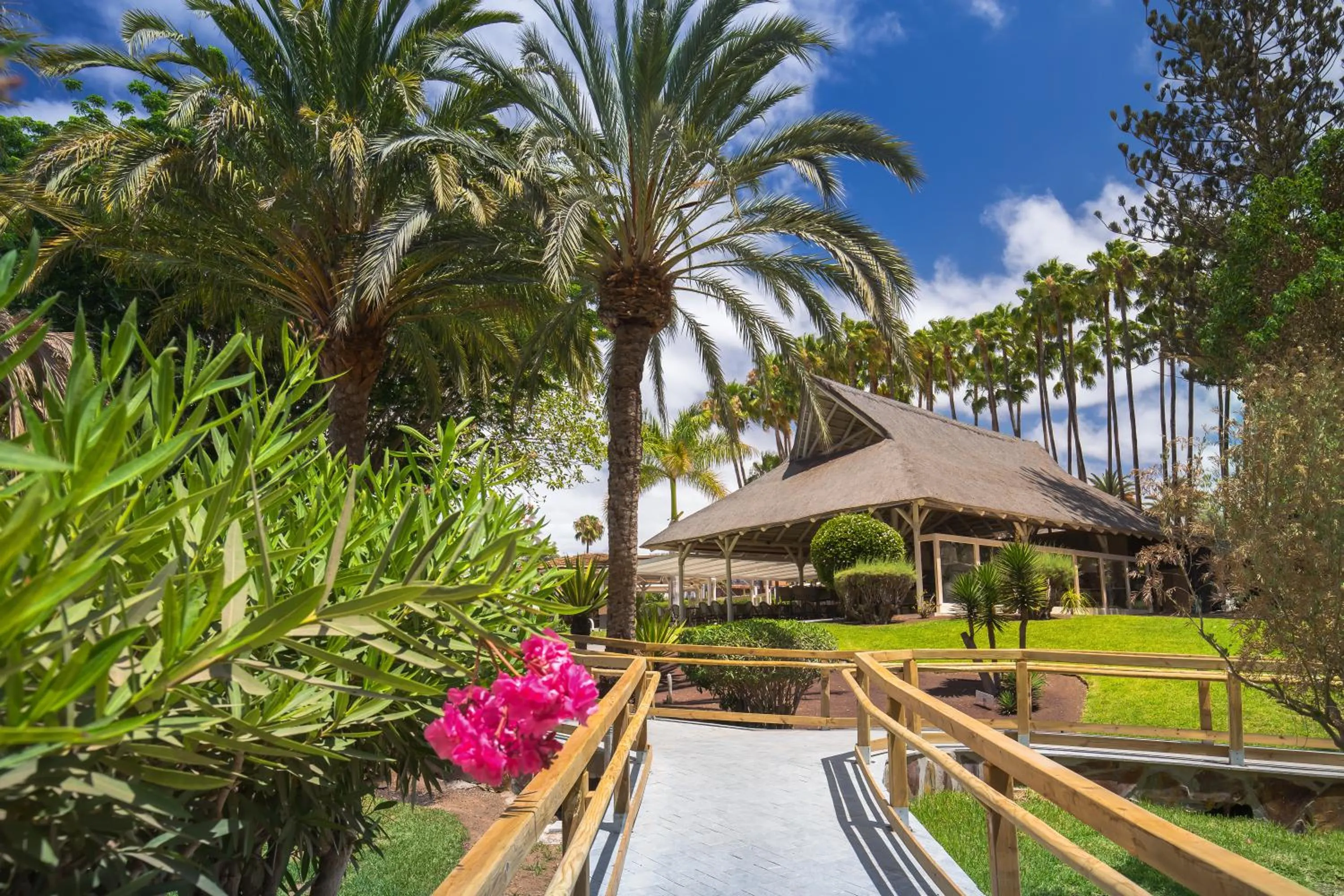 Garden in Barceló Margaritas Royal Level Adults Only