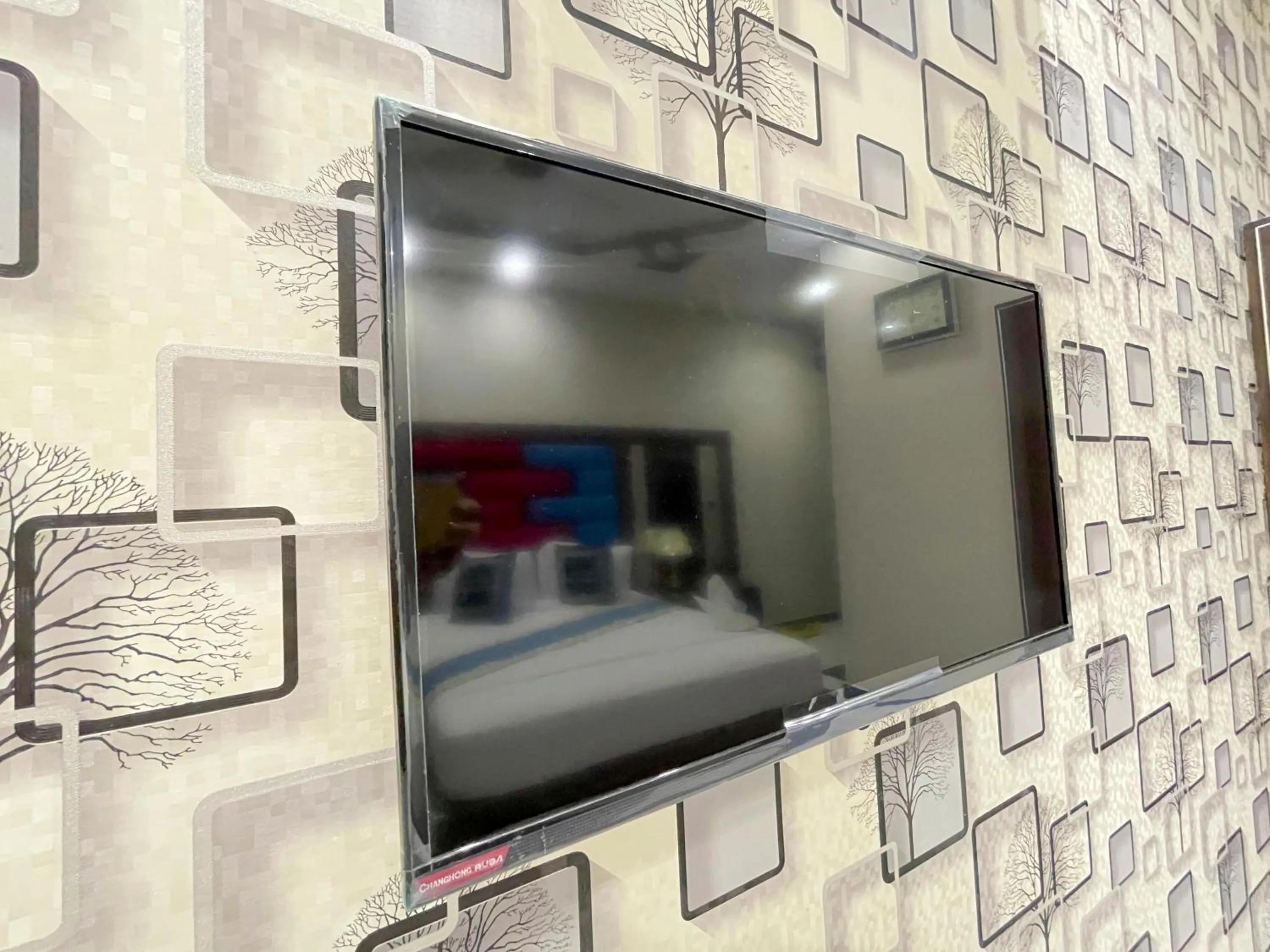 TV and multimedia in Horizon Hotel