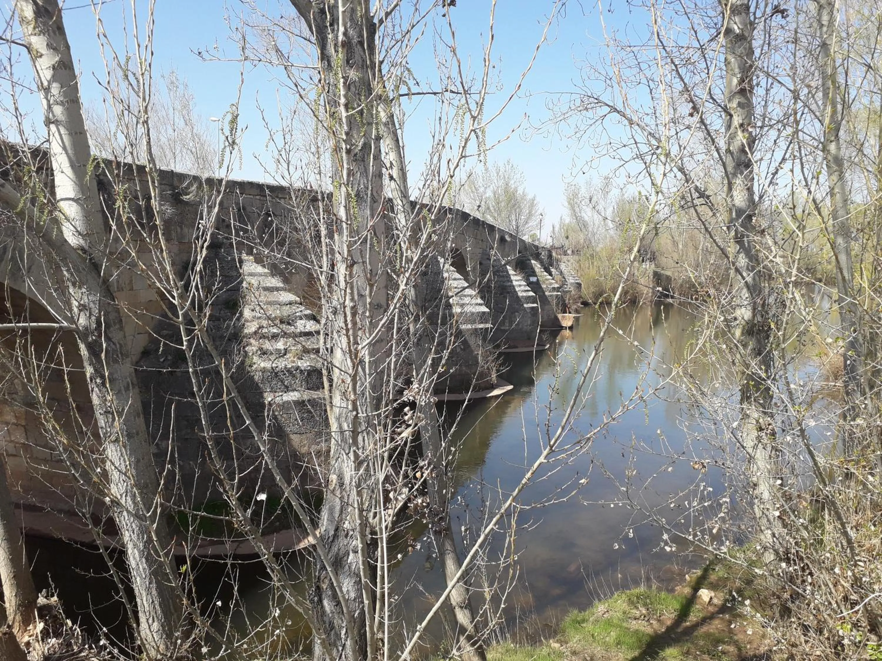 Natural landscape in Hotel Villa De Lerma