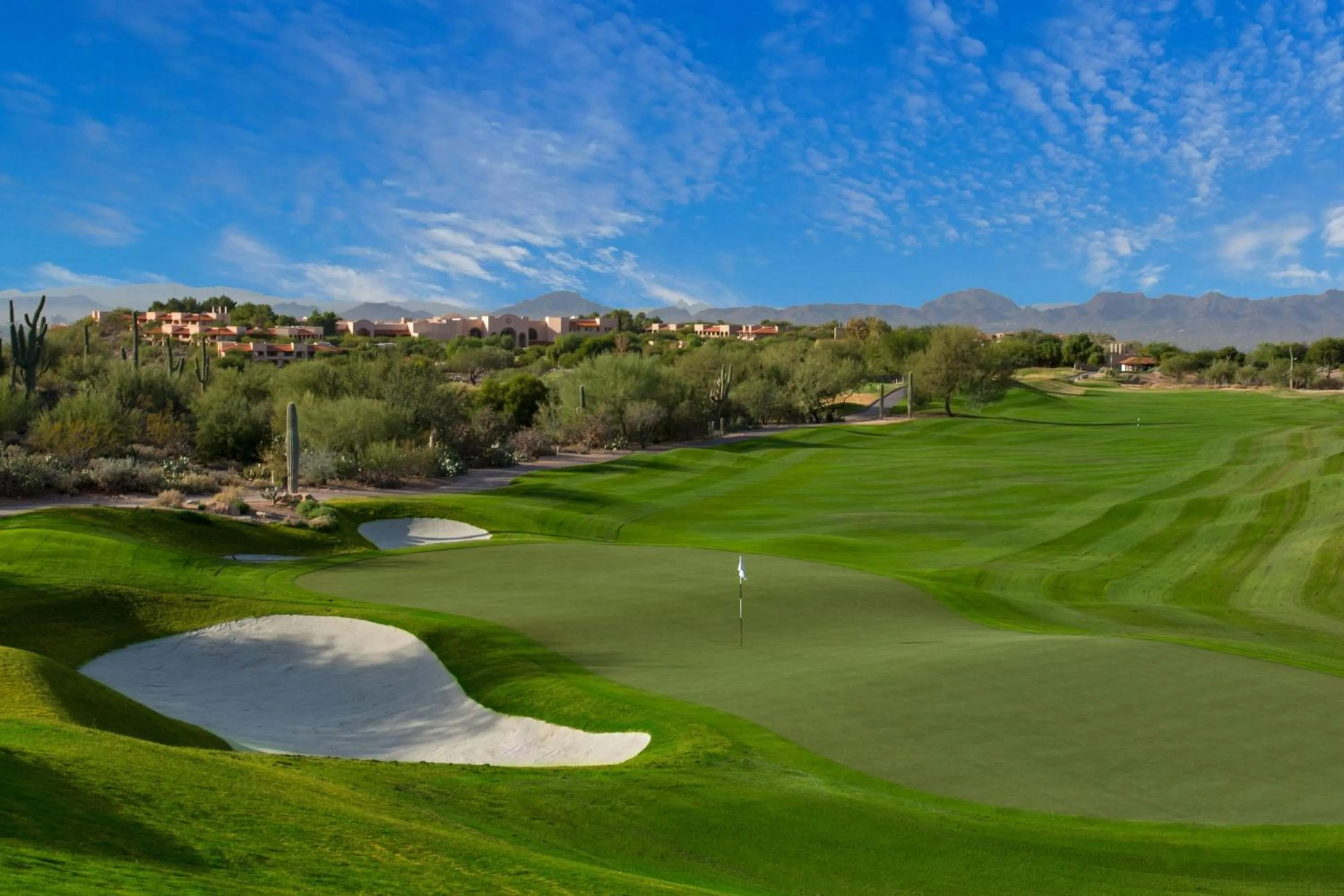 Other in The Westin La Paloma Resort & Spa