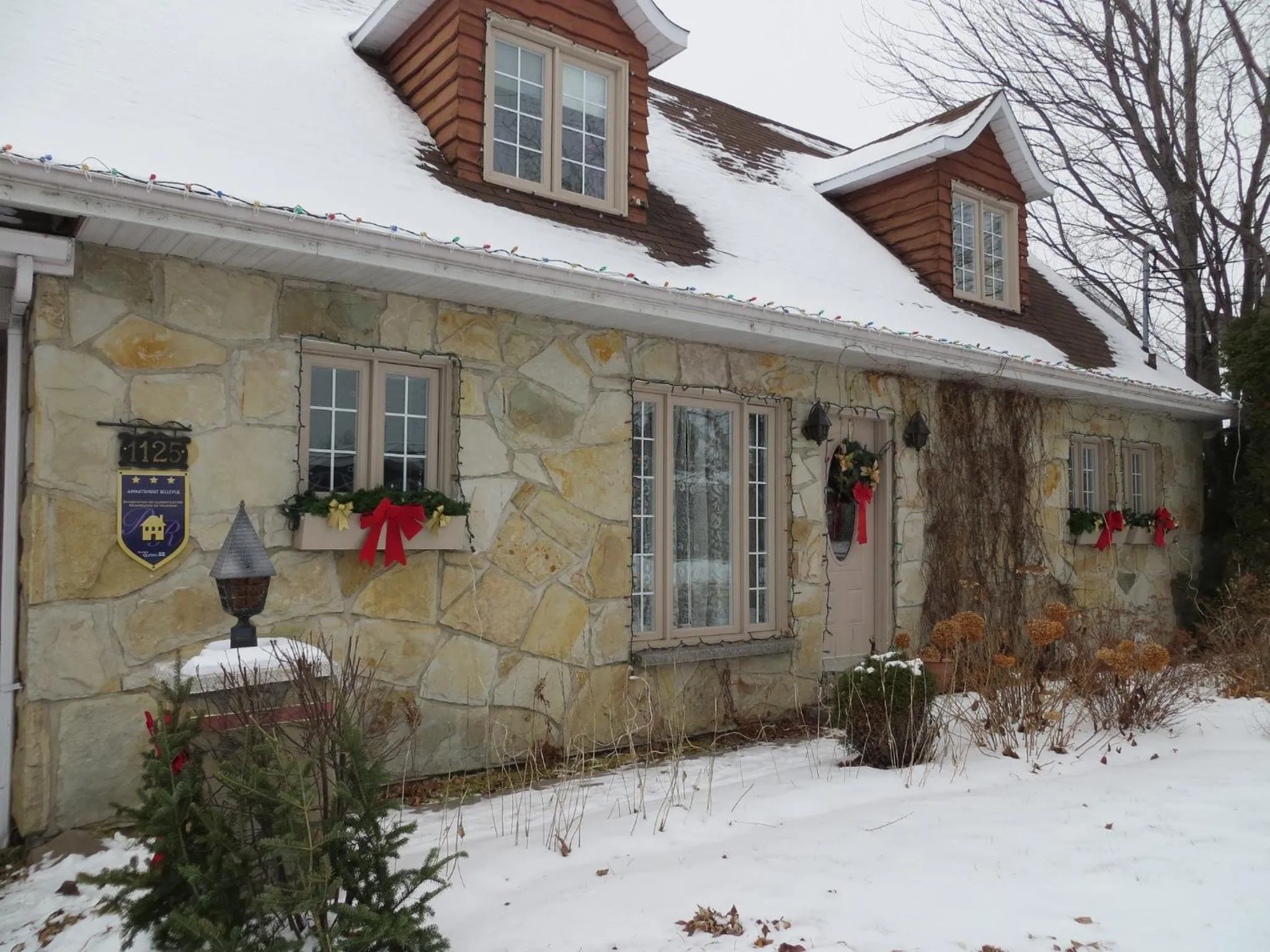 Property logo or sign in Studio Bellevue