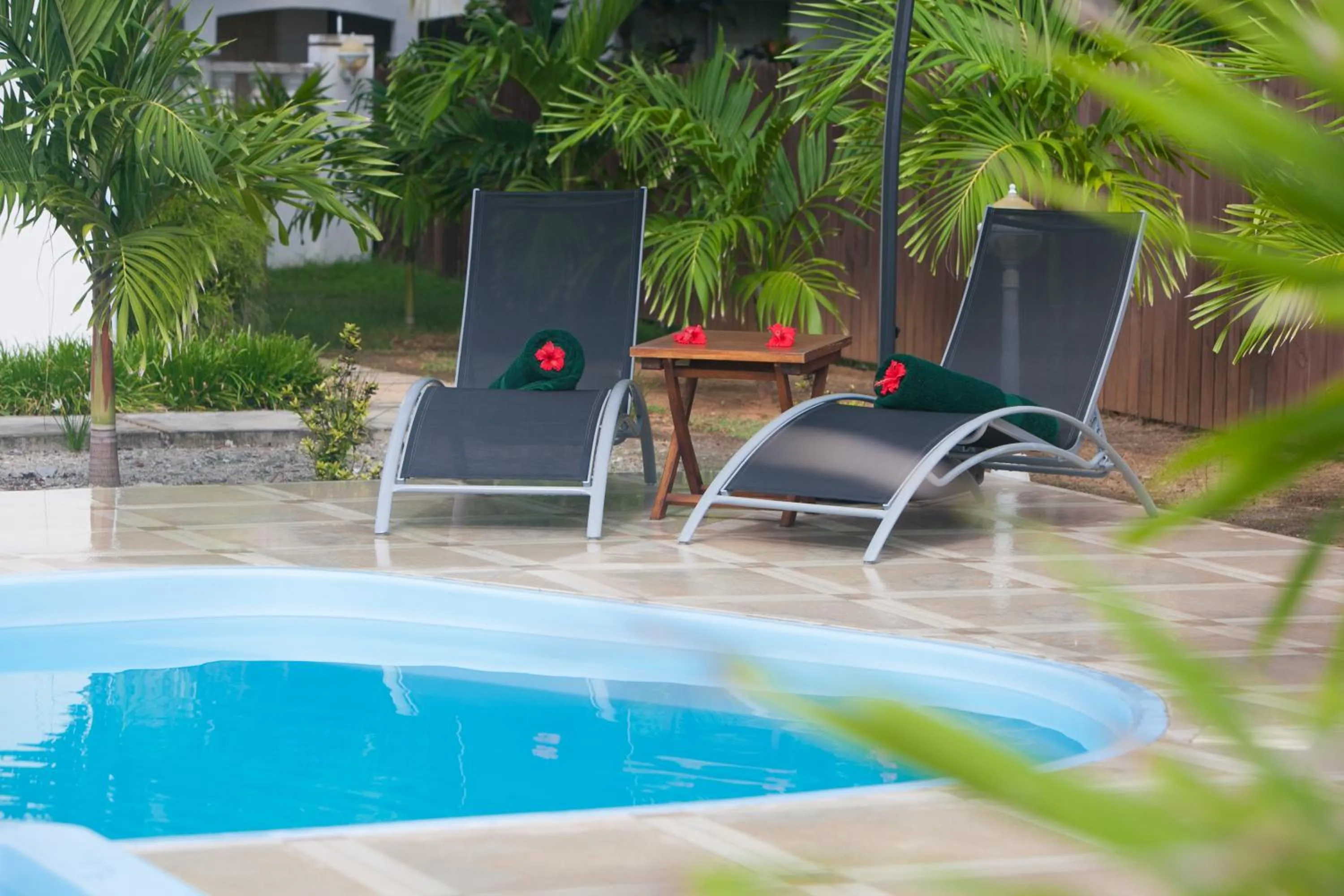 Swimming pool in Villa Koket
