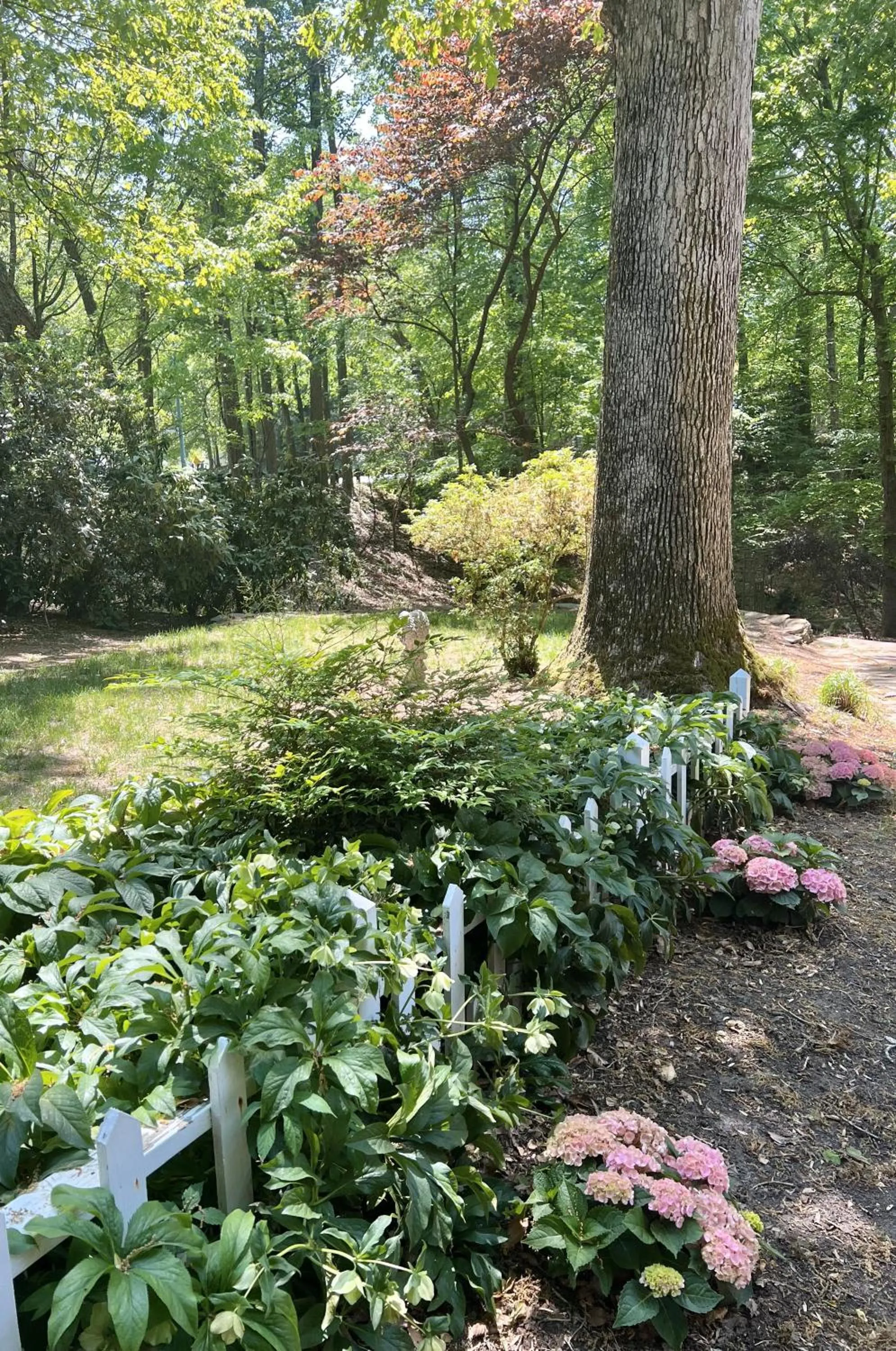 View (from property/room) in Colonial Gardens B & B