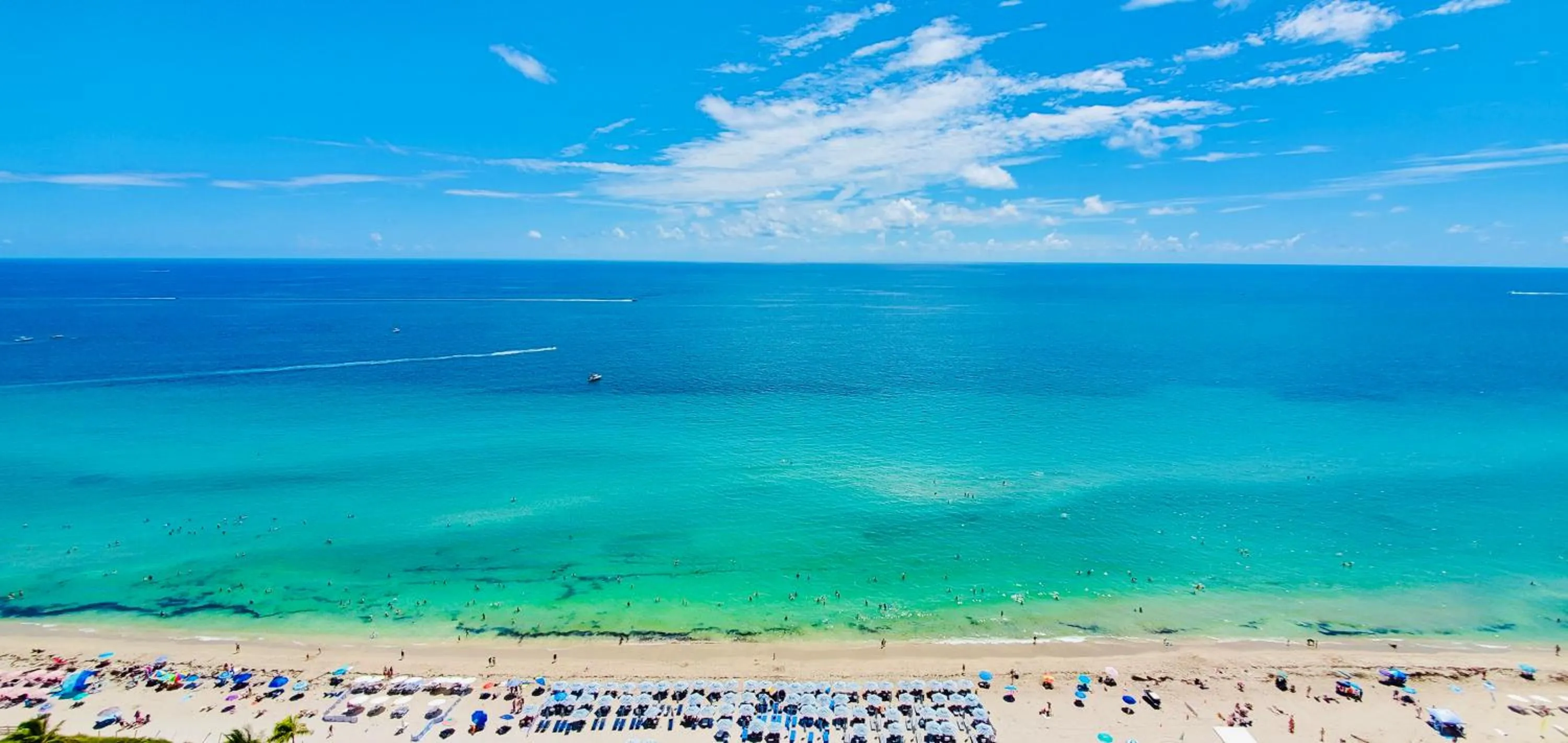 Natural landscape in Million Dollar View at Hyde Resort And Residences