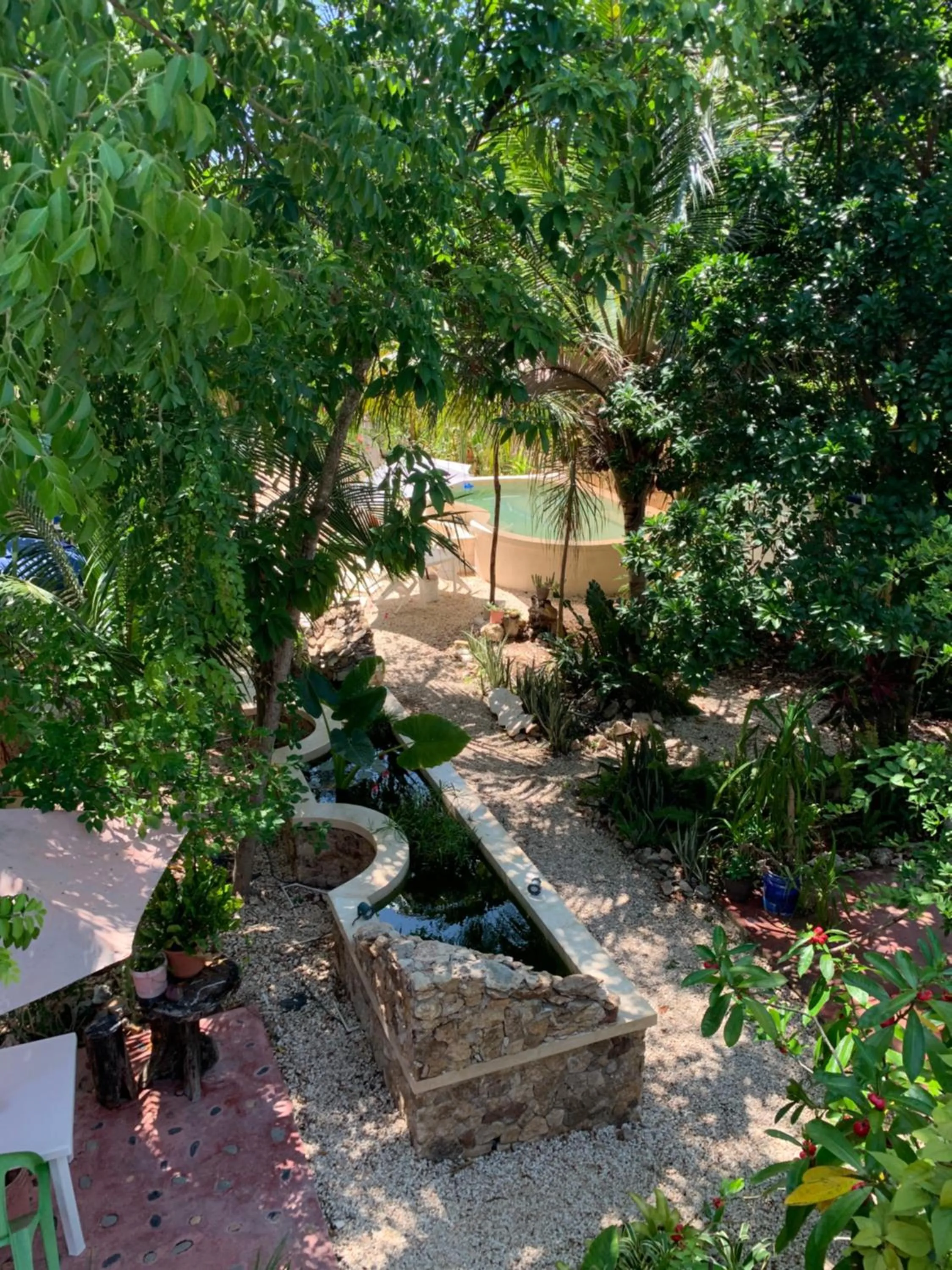 Swimming pool in La Casa del Árbol