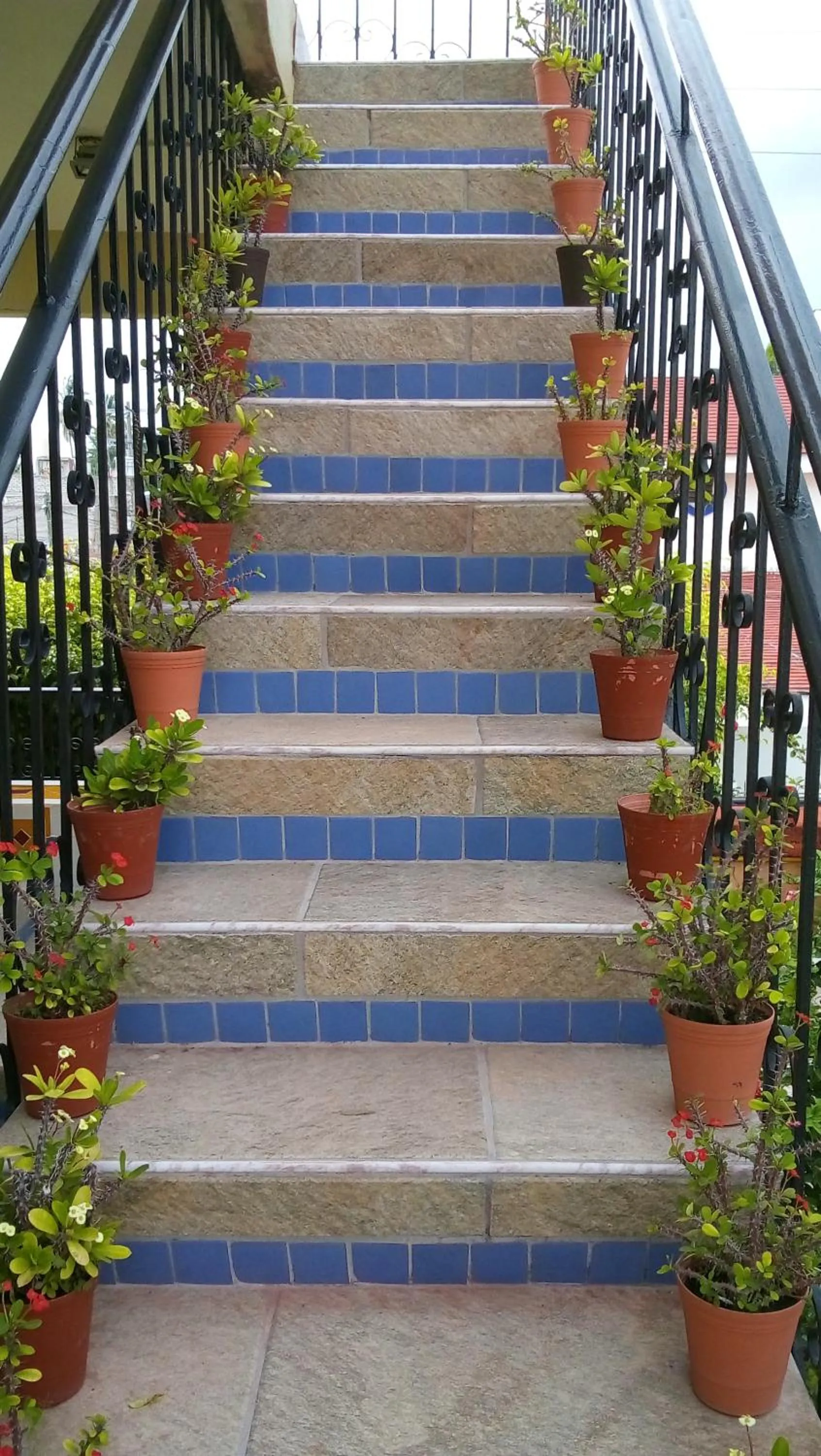 Hotel Posada del Rey