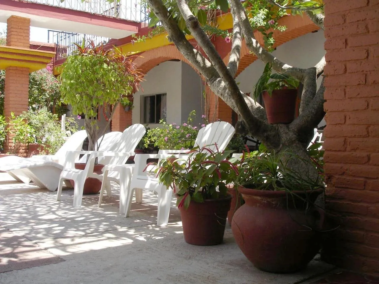Garden in Hotel Posada del Rey