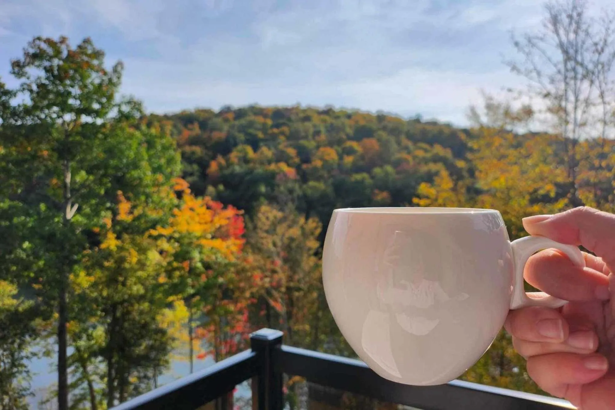 View (from property/room) in Château Morritt