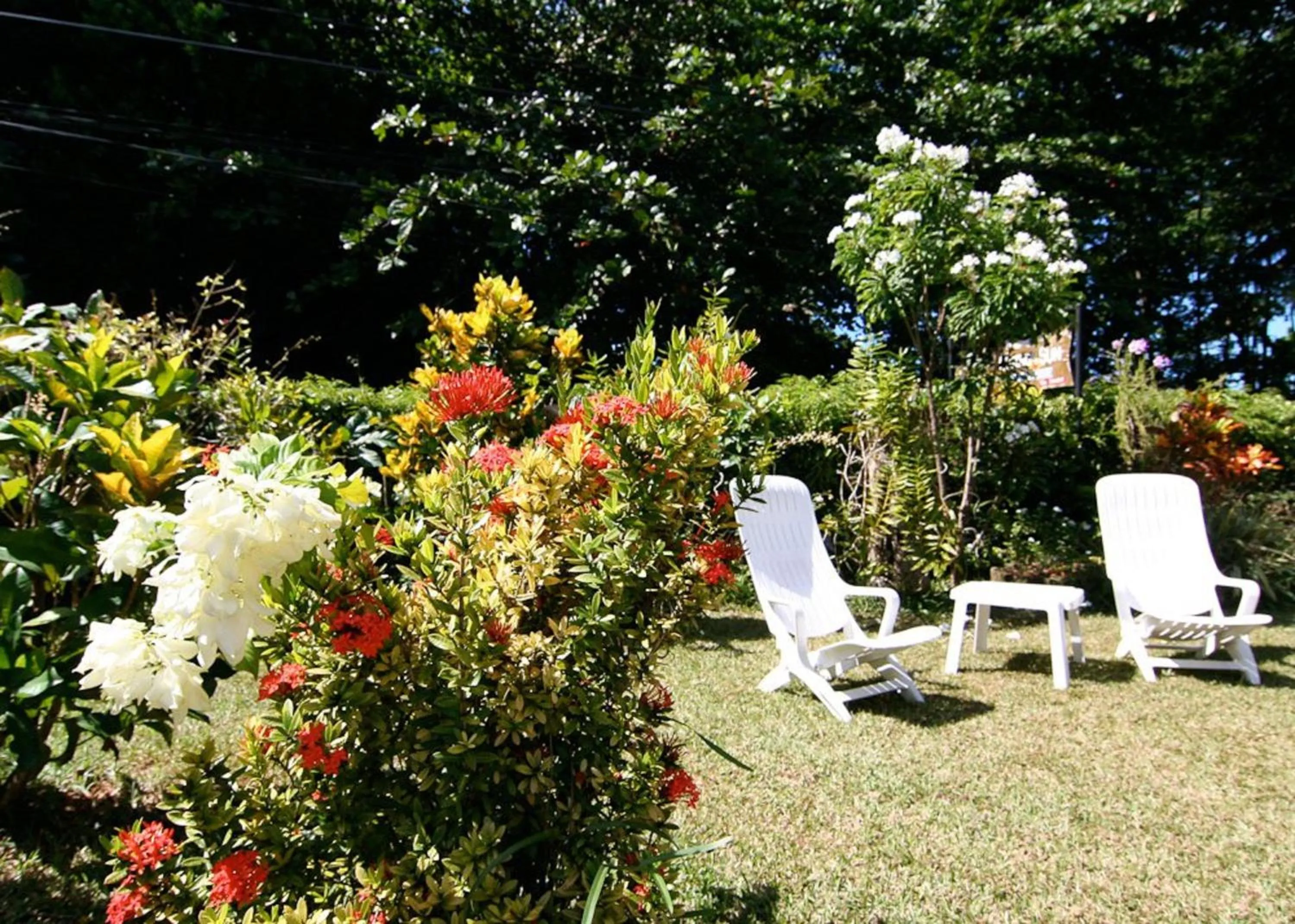 Garden in Rising Sun Guesthouse