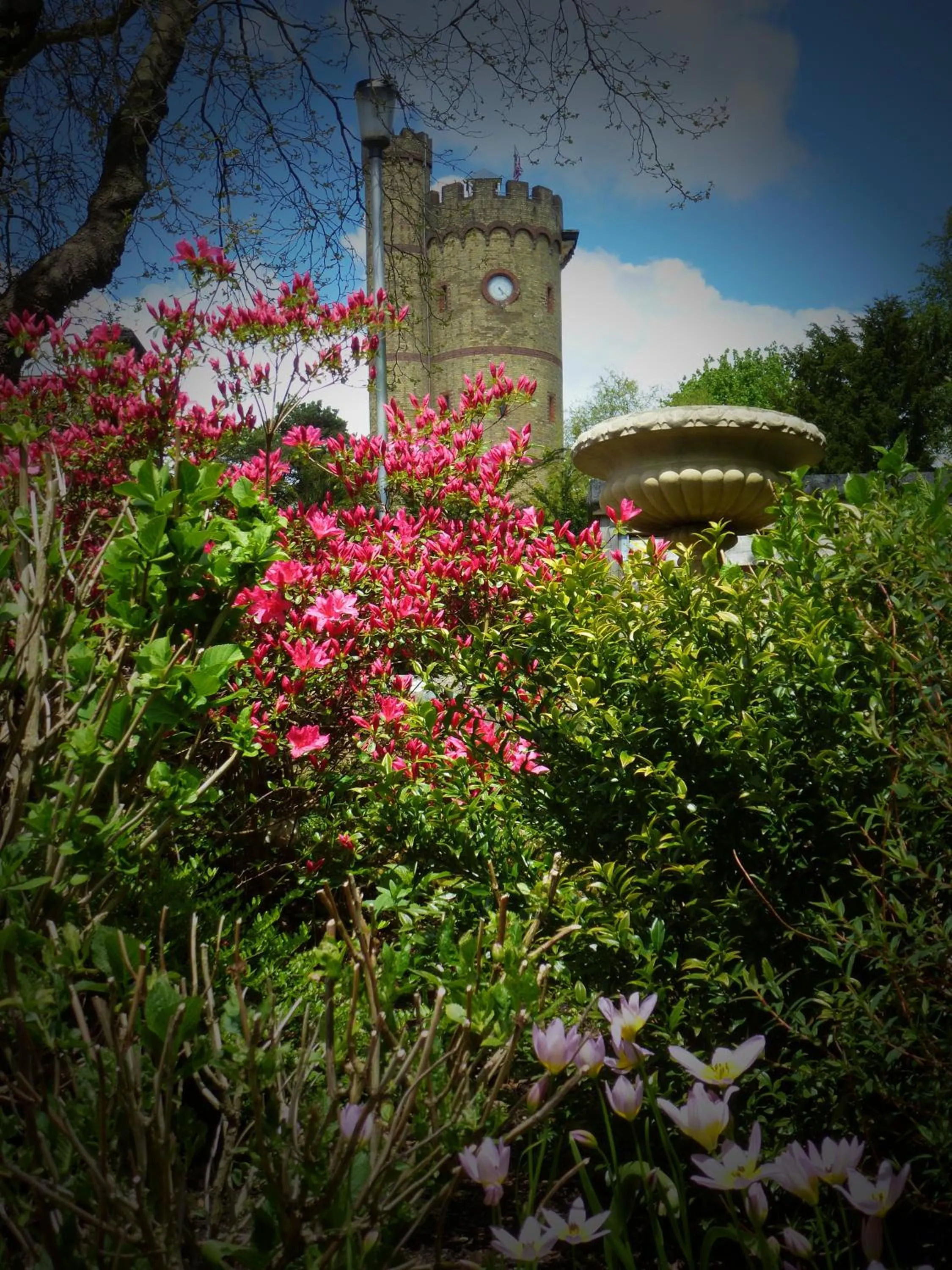 Garden in Accommodation at Salomons Estate