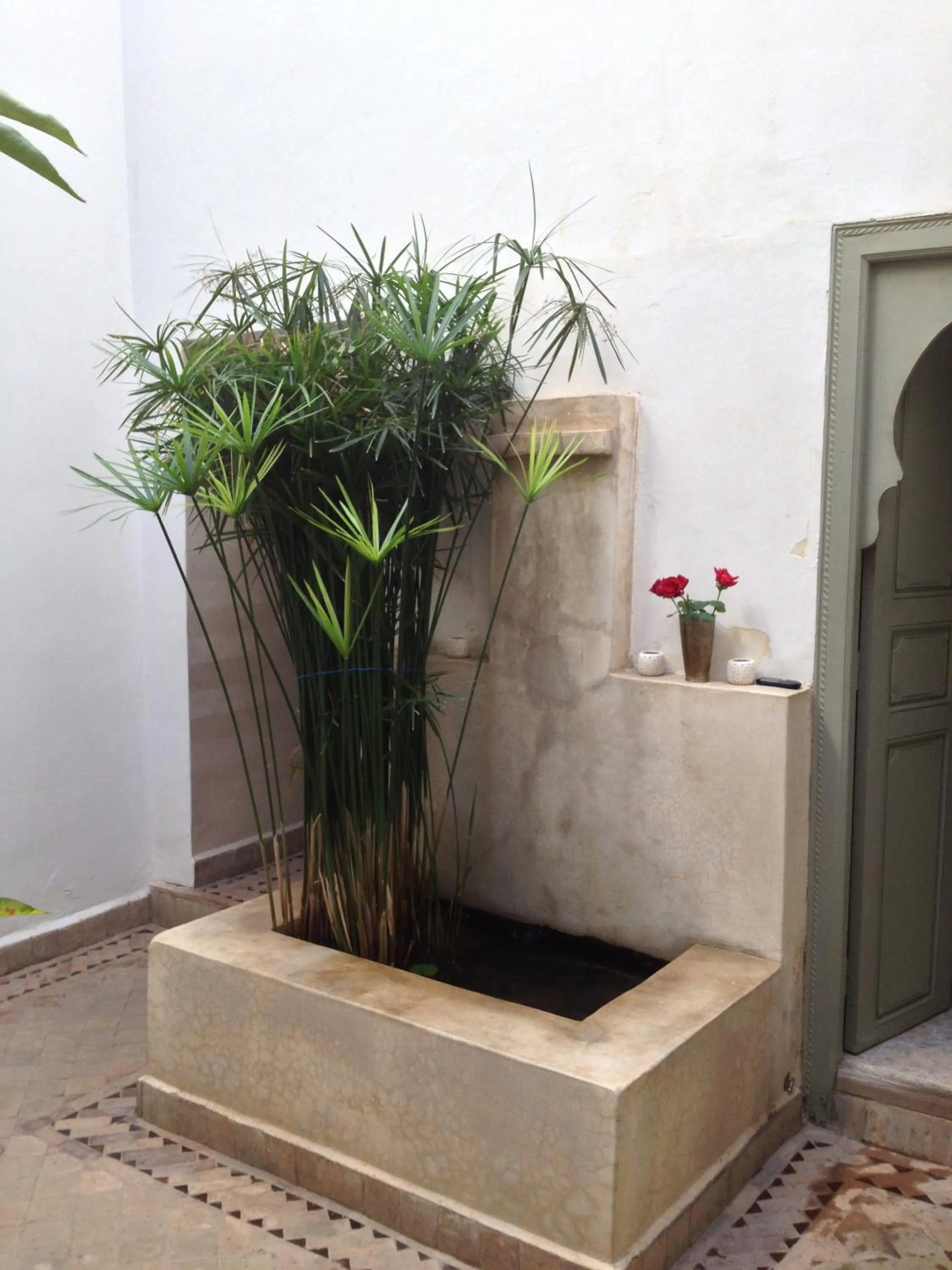 Patio in Riad Timila