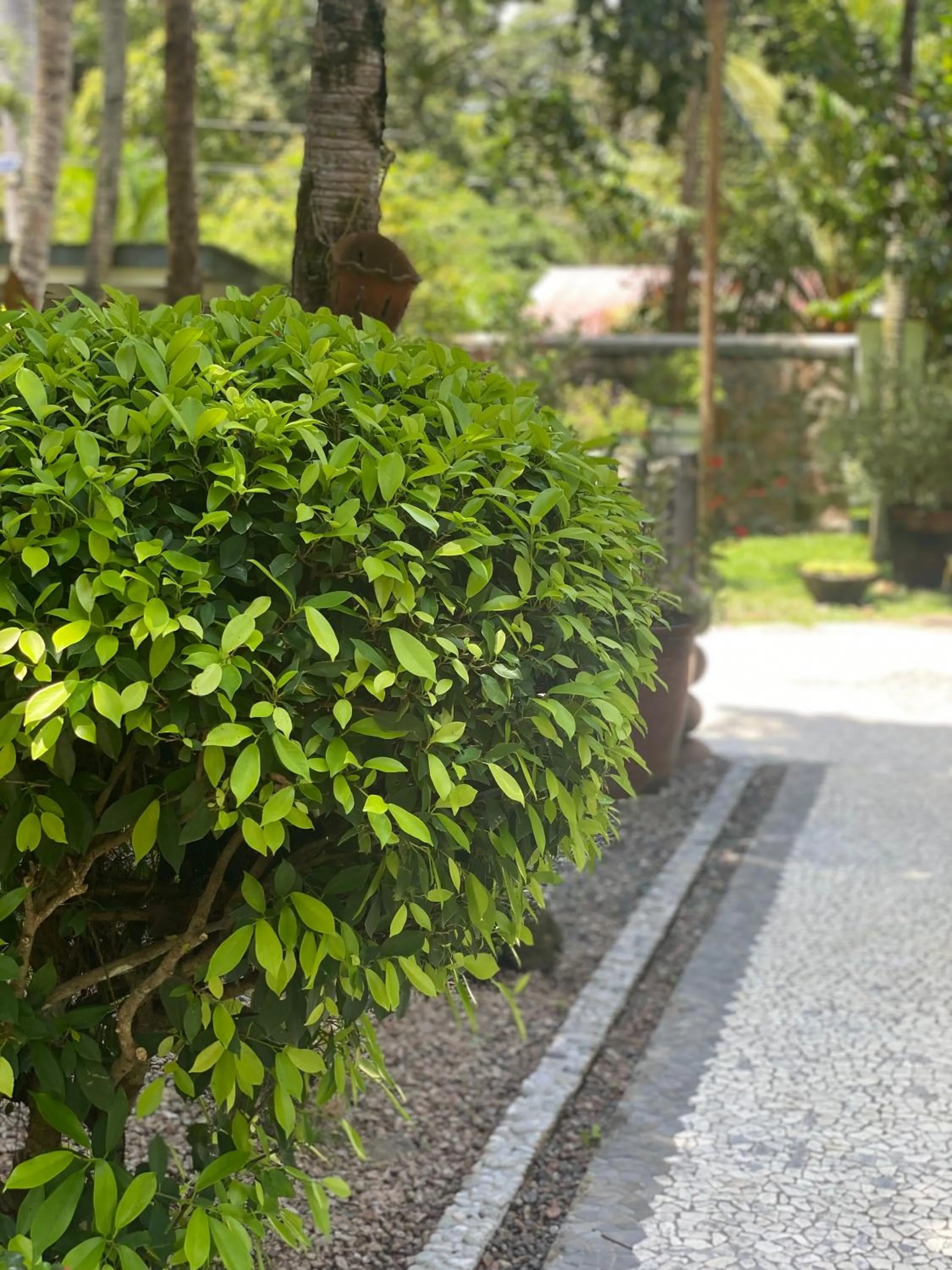 Day in Hotel Chateau St Cloud