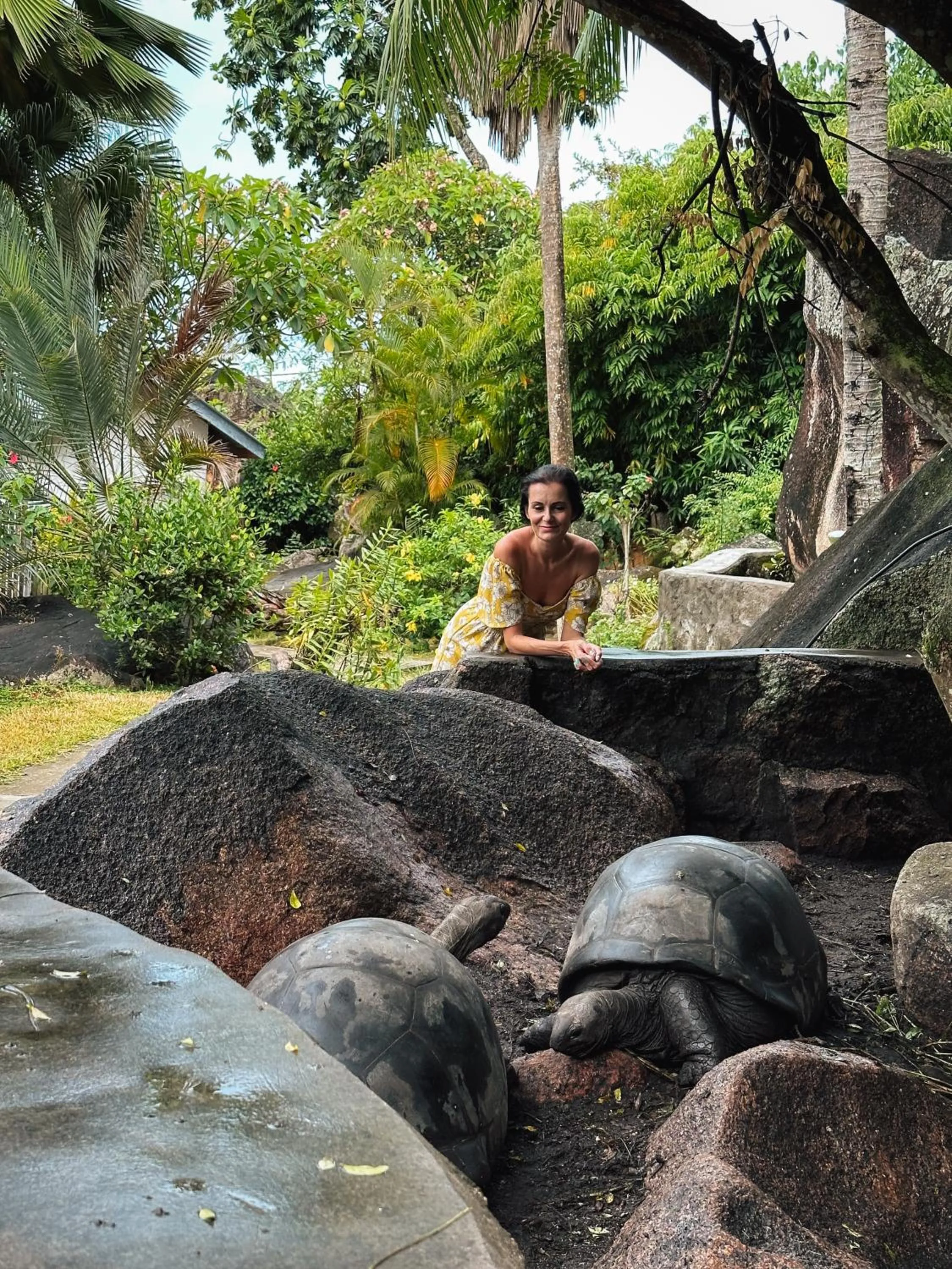 Property building in Hotel Chateau St Cloud