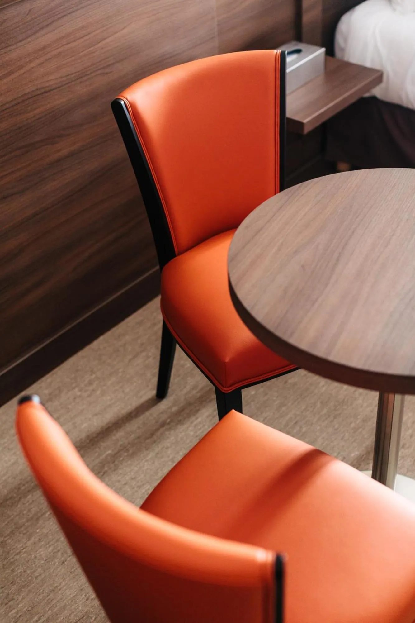 Pets in Hotel-Café du Trinquet