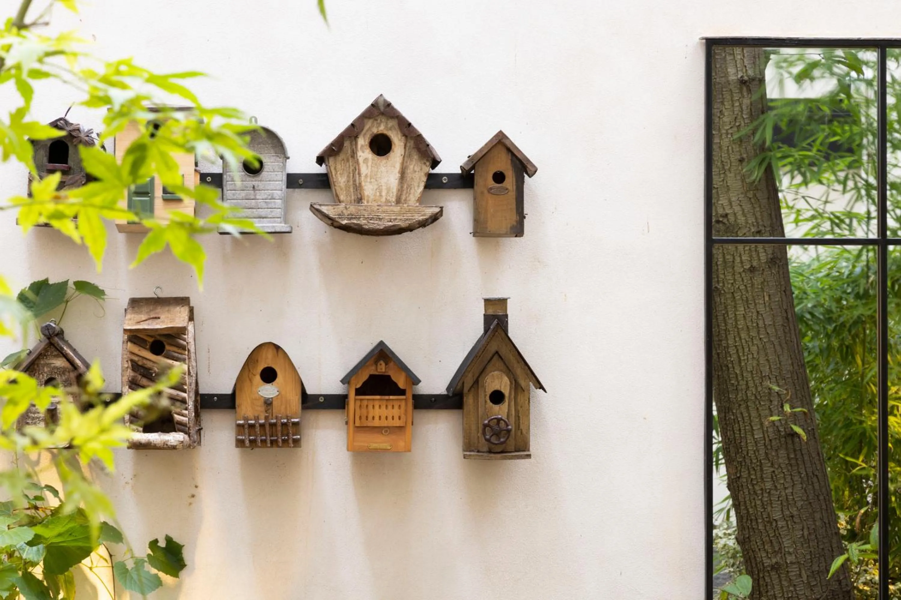 Garden in Hôtel La Canopée