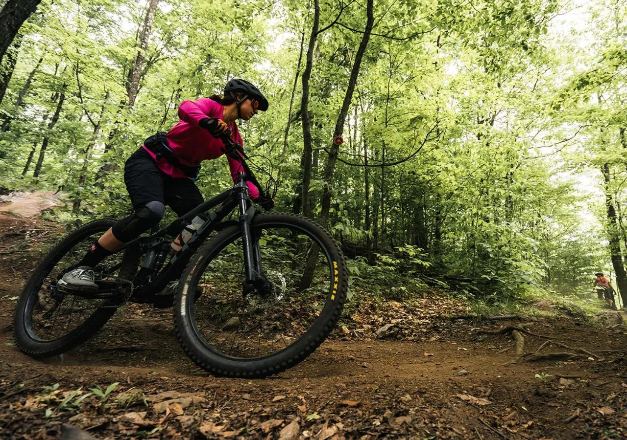 Natural landscape in Hotel Chateau Bromont