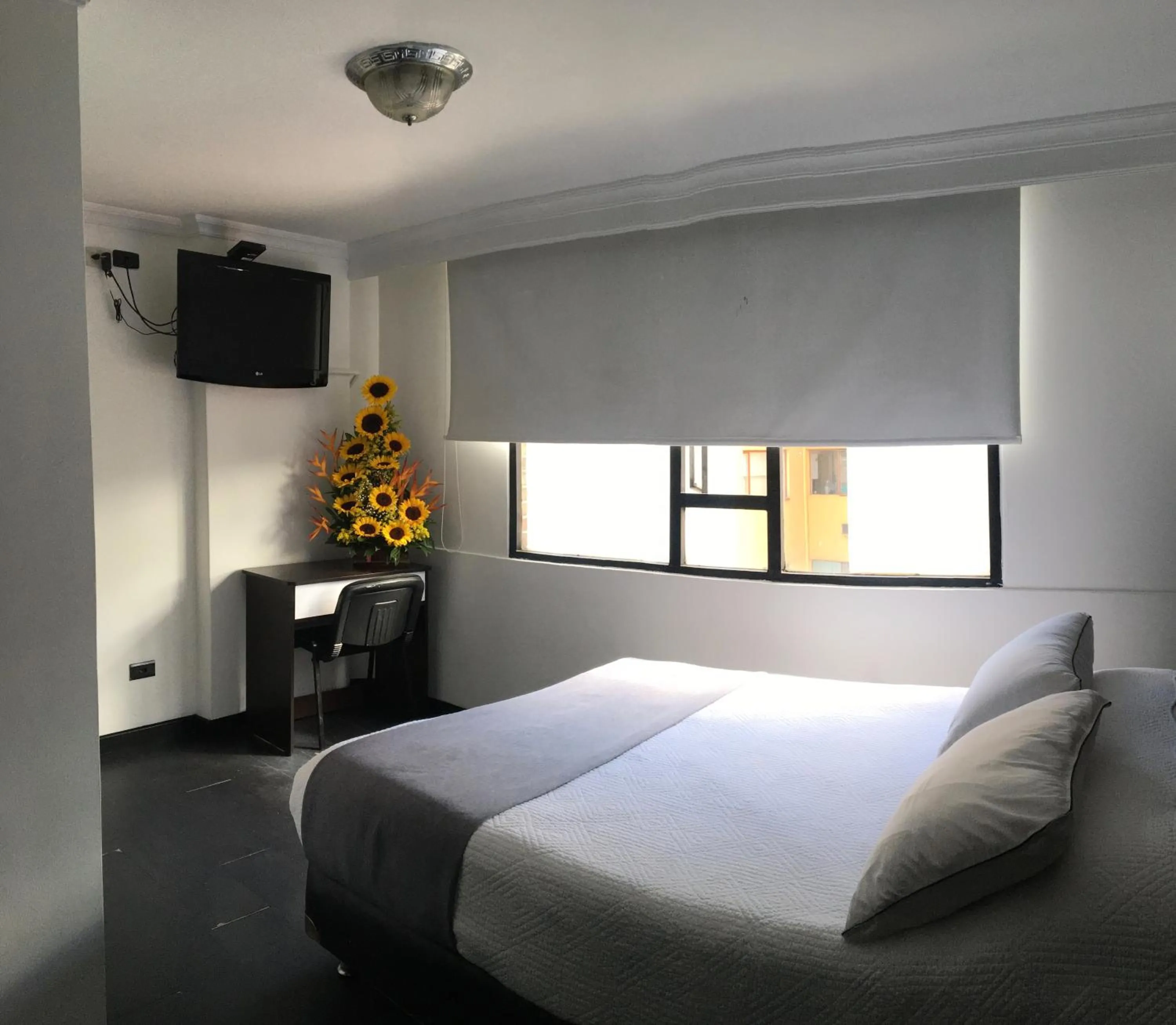 TV and multimedia, Bed in Hotel Ejecutivo Av la Esperanza