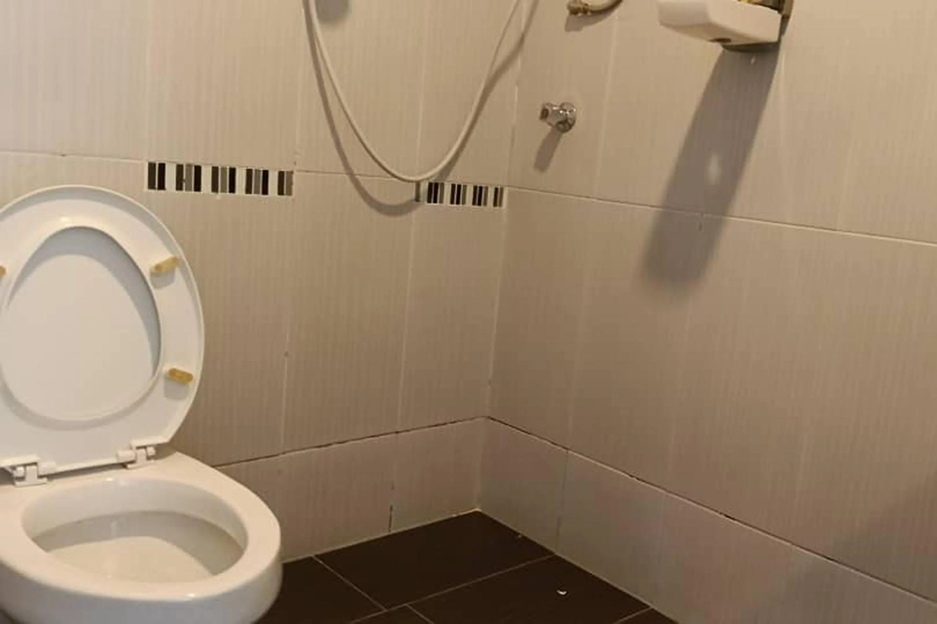 Toilet in Mars Hotel