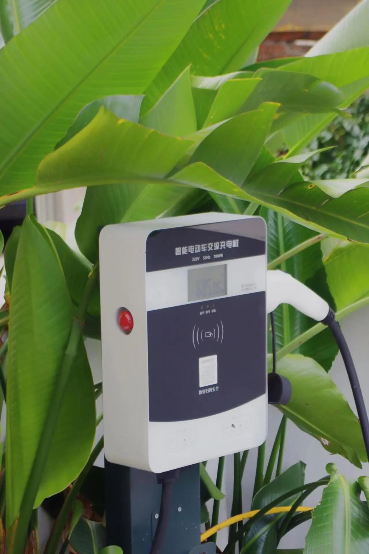 Parking in Ruoli Yangshuo