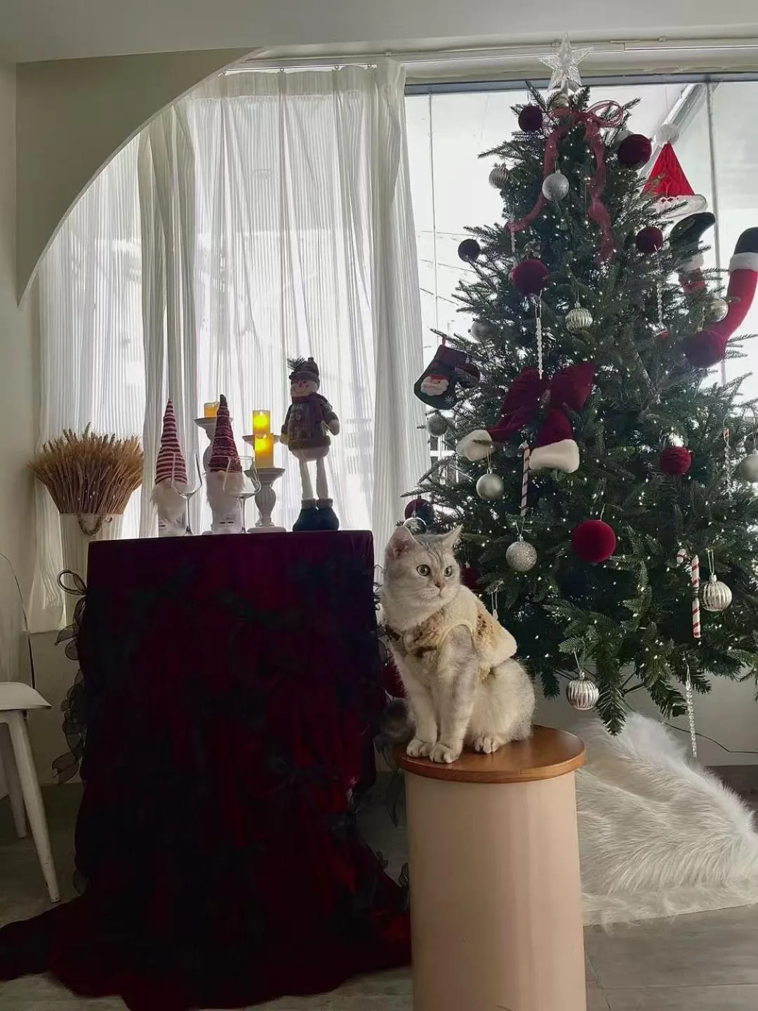 Lobby or reception in Ruoli Yangshuo