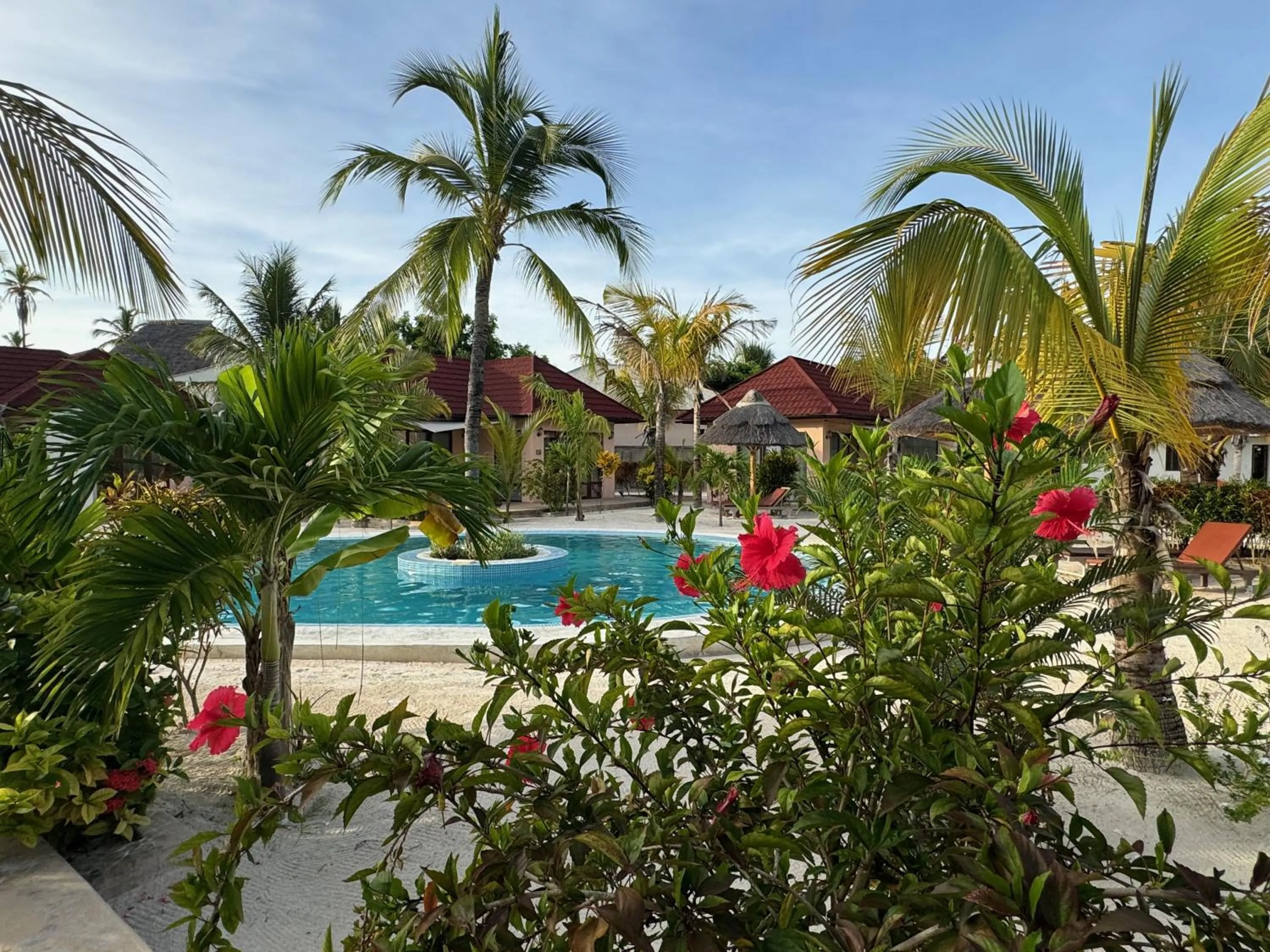 Garden view in Paje Blu Boutique Hotel