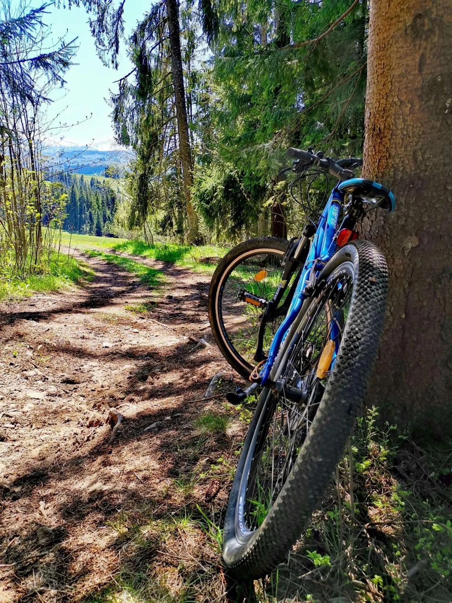 Cycling in Hotel Bachledówka