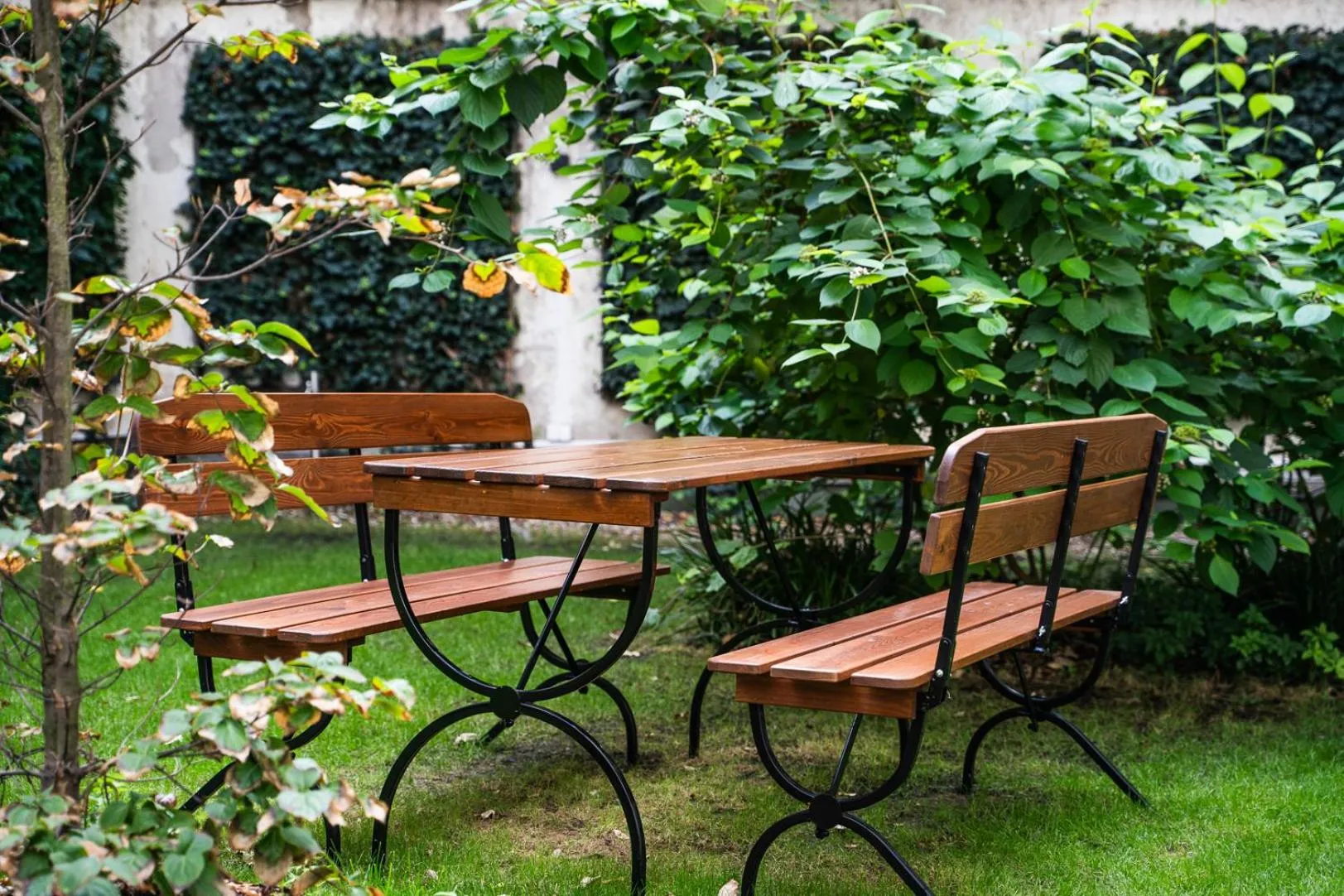 Garden in K+K Hotel Fenix