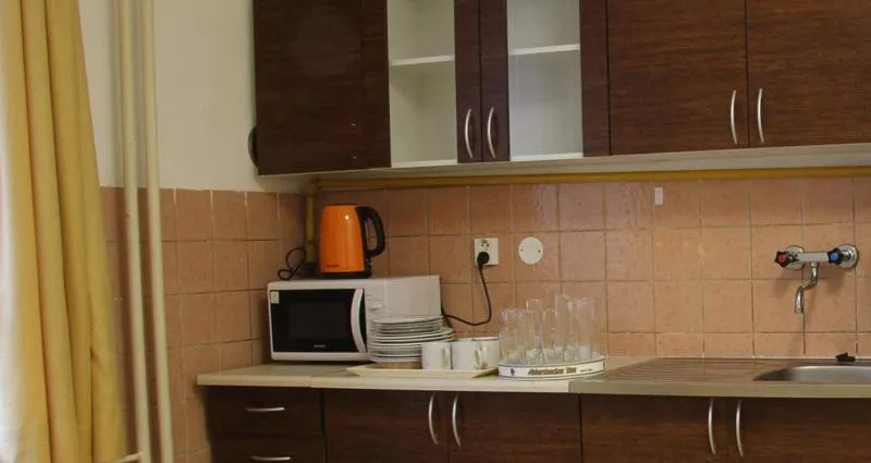 Kitchen or kitchenette in Penzion Diana