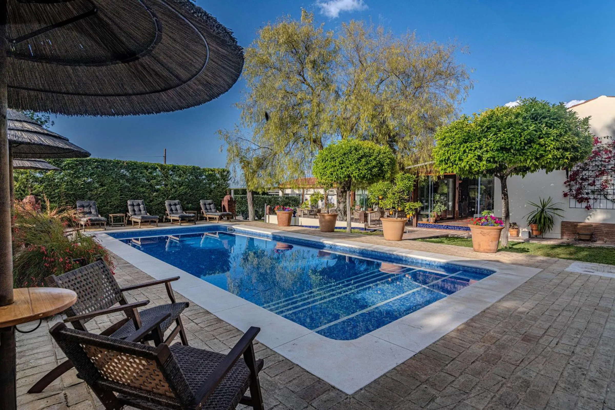 B&B Casa Adelante Sevilla