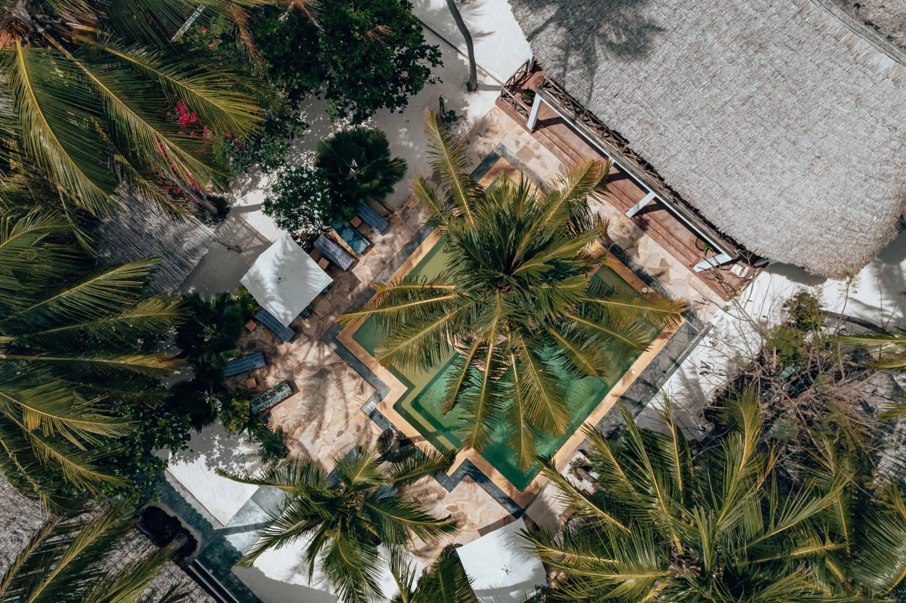 Natural landscape in Sahari Zanzibar