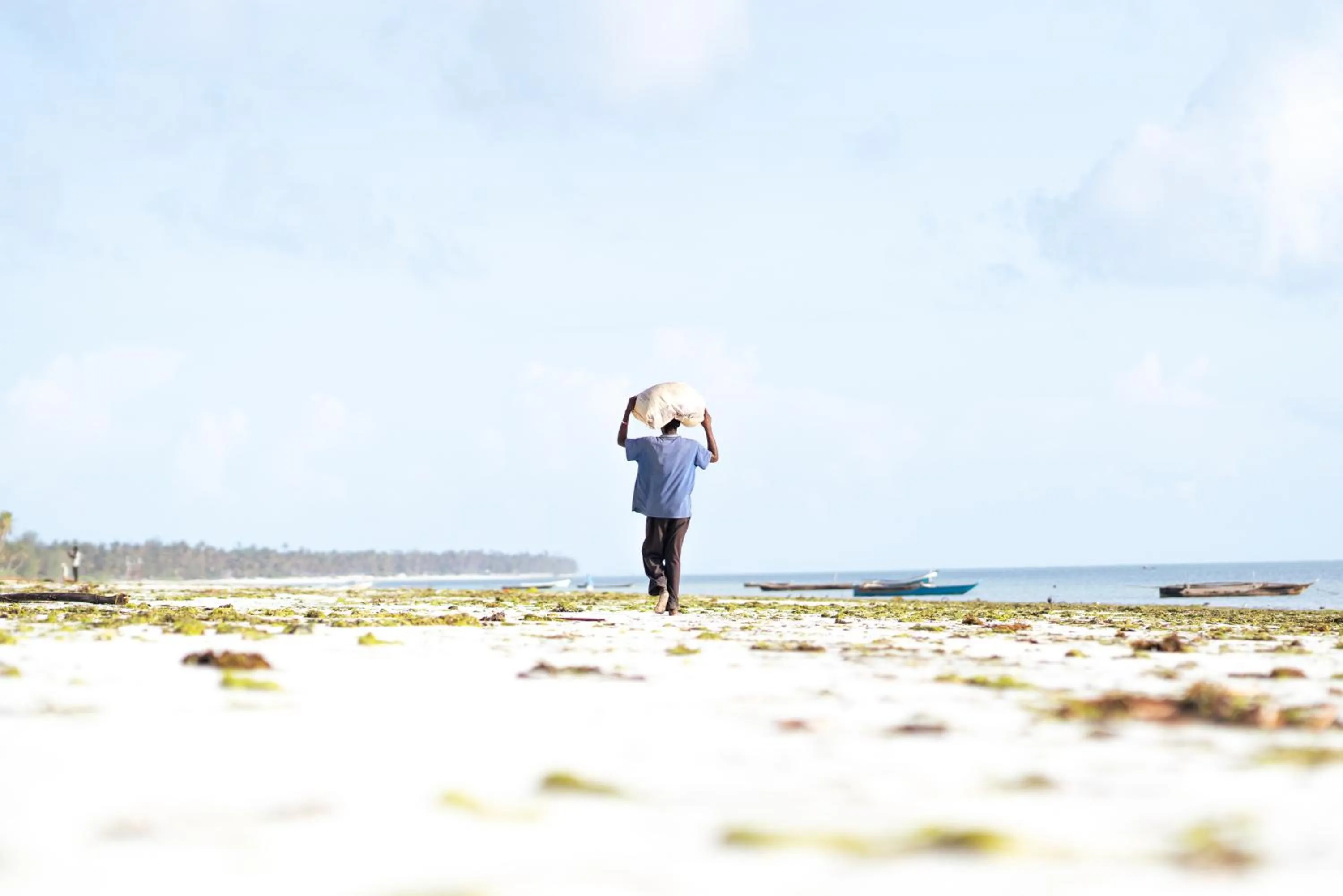 Day in Sahari Zanzibar