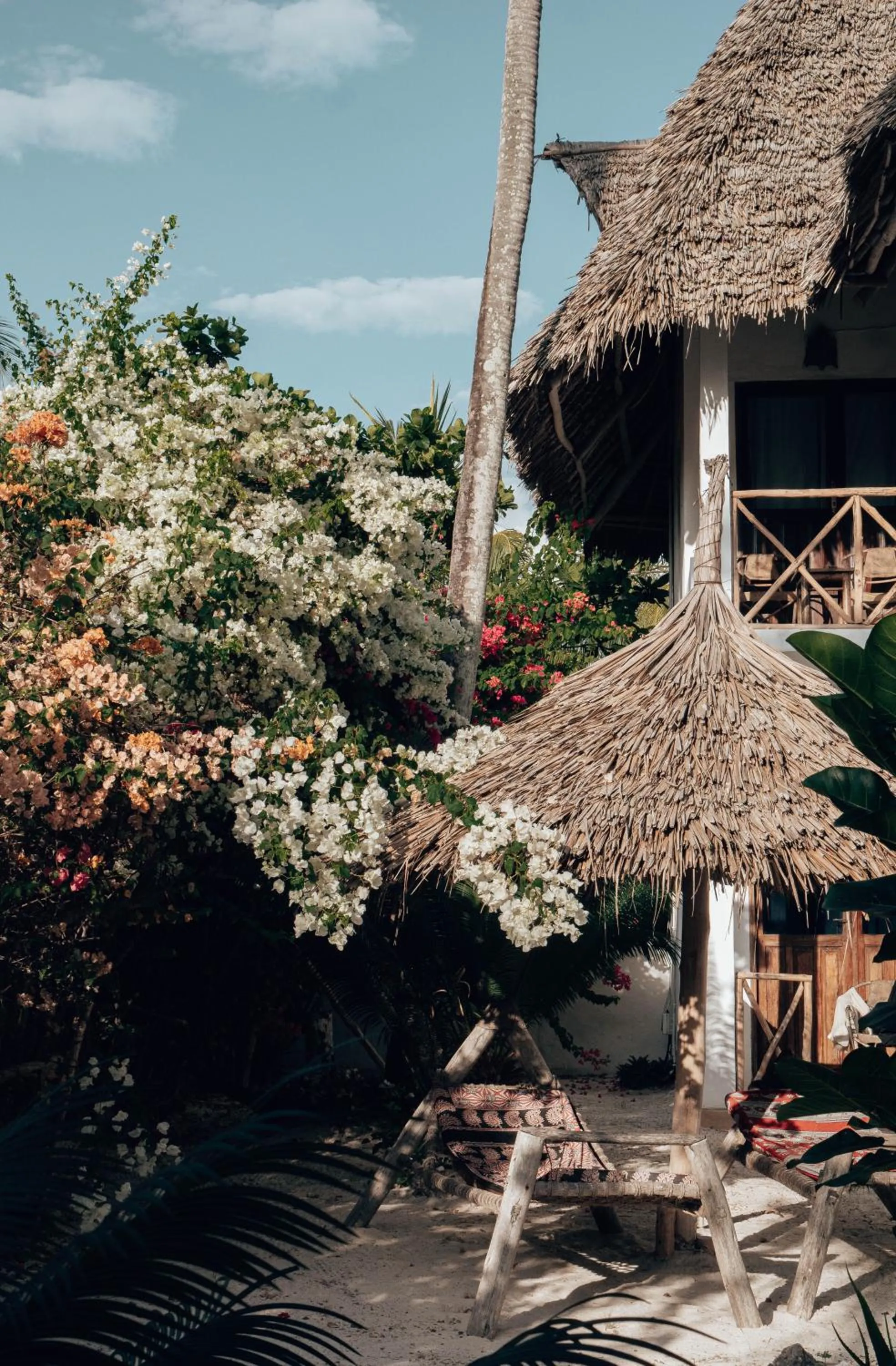 Garden view in Sahari Zanzibar