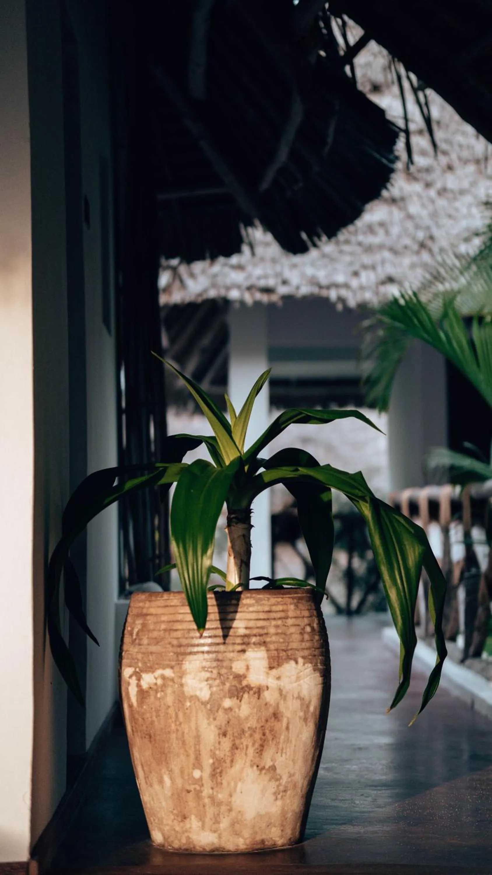 Property building in Sahari Zanzibar