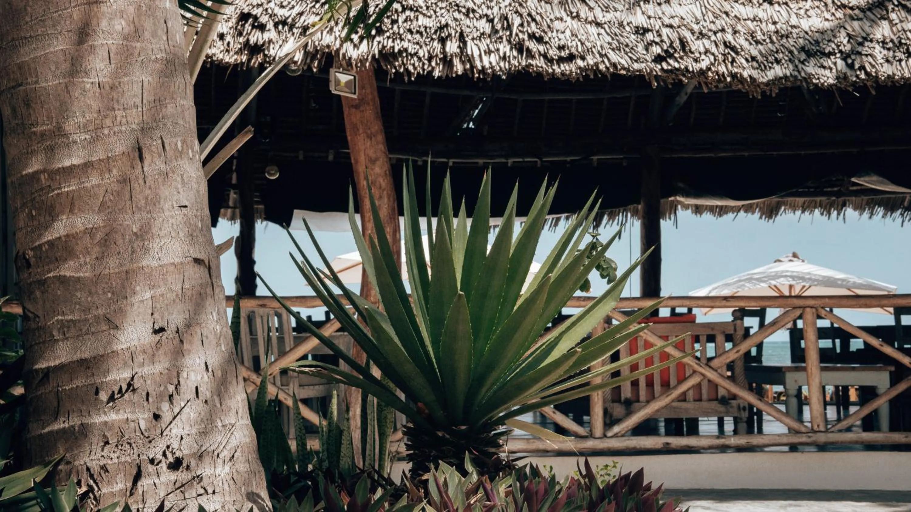 Garden view in Sahari Zanzibar