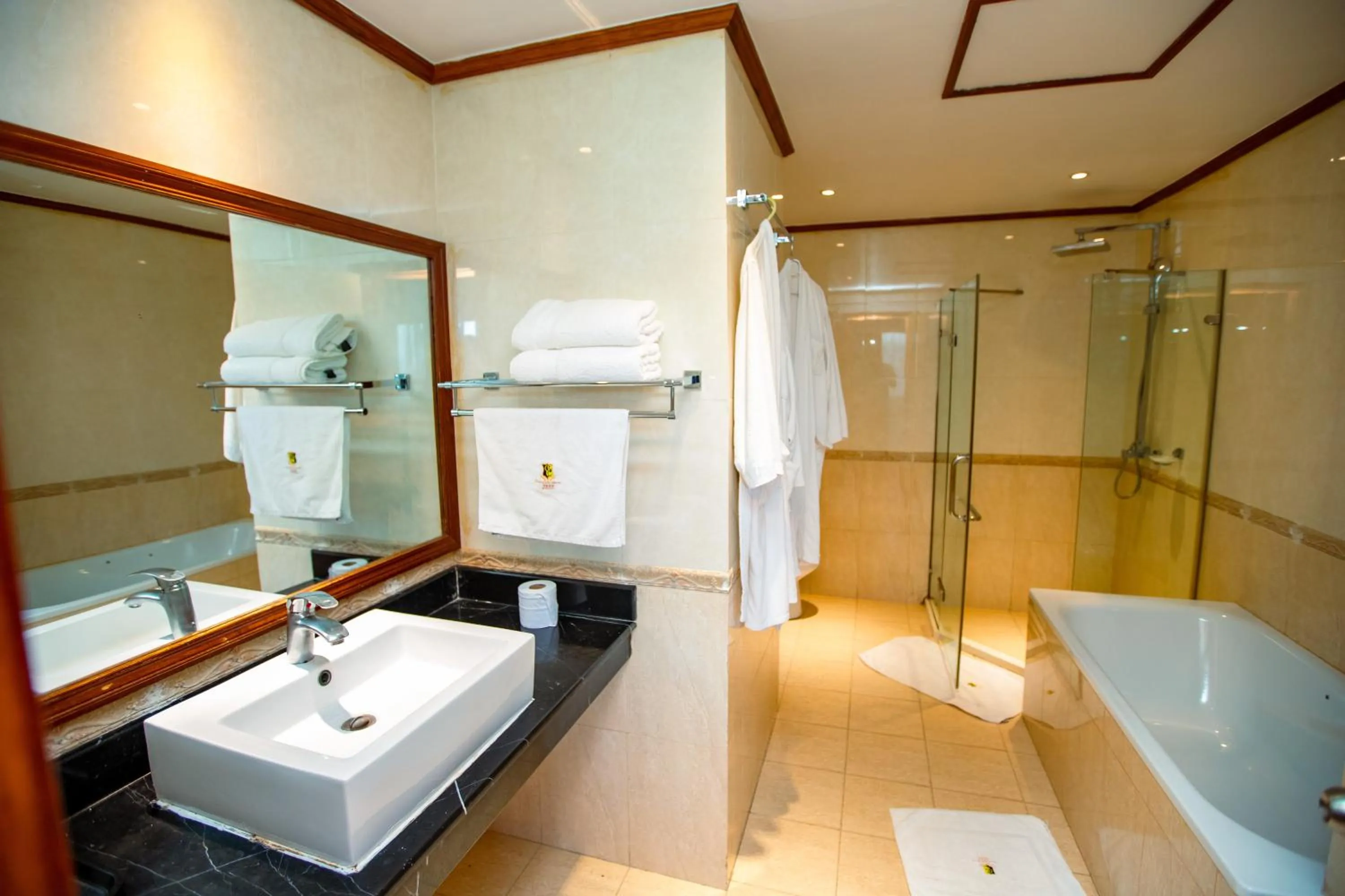 Shower in Gold Crest Hotel