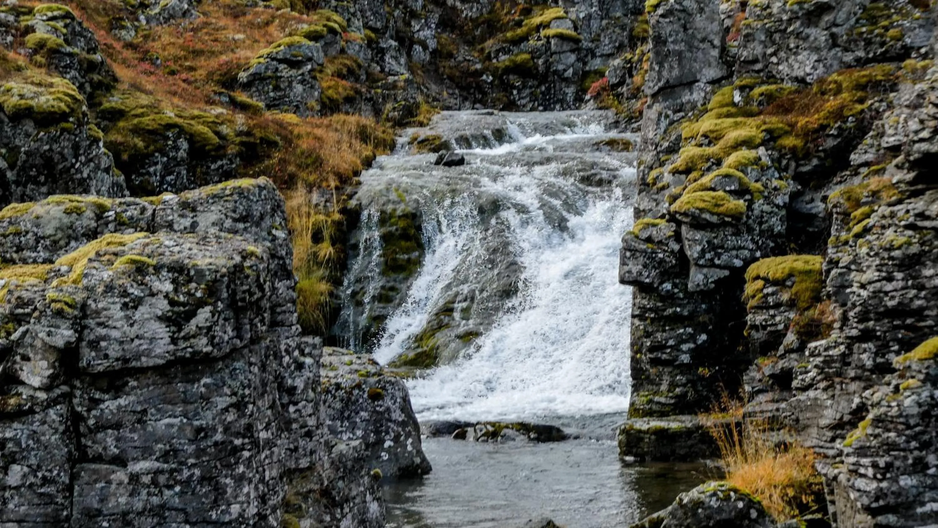 Natural landscape in Harbour Inn - Guesthouse